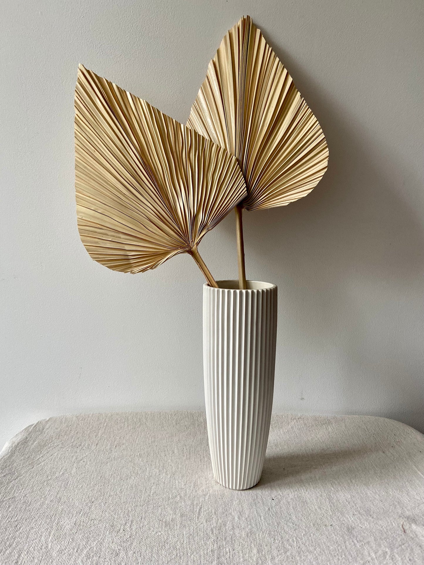 Palmblatt | Bambusblatt | Trockenblume | Creme | Zweige für die Vase | Blütenzweig | Advent | Winter | Dekoblatt | Natur