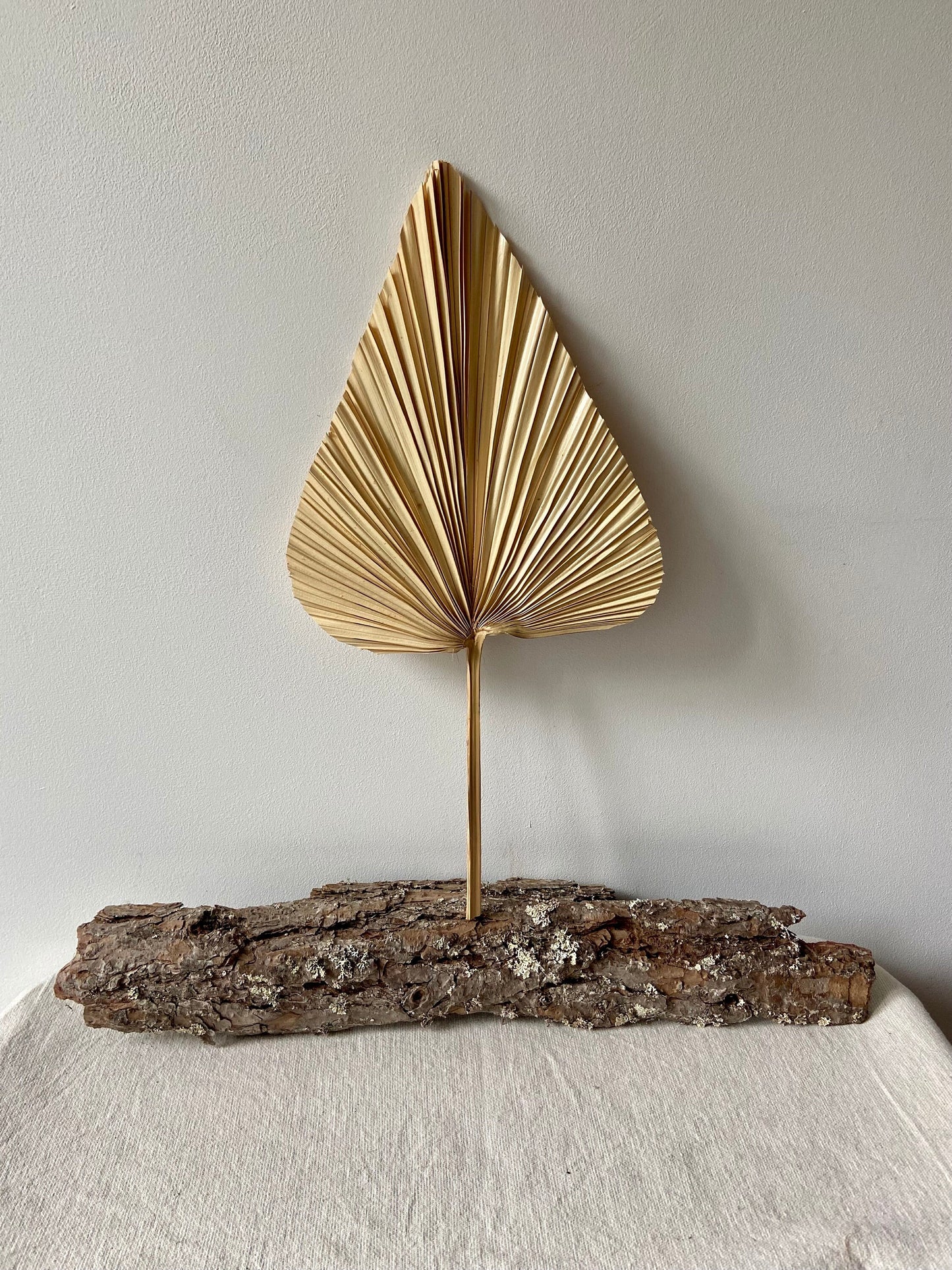 Palmblatt | Bambusblatt | Trockenblume | Creme | Zweige für die Vase | Blütenzweig | Advent | Winter | Dekoblatt | Natur