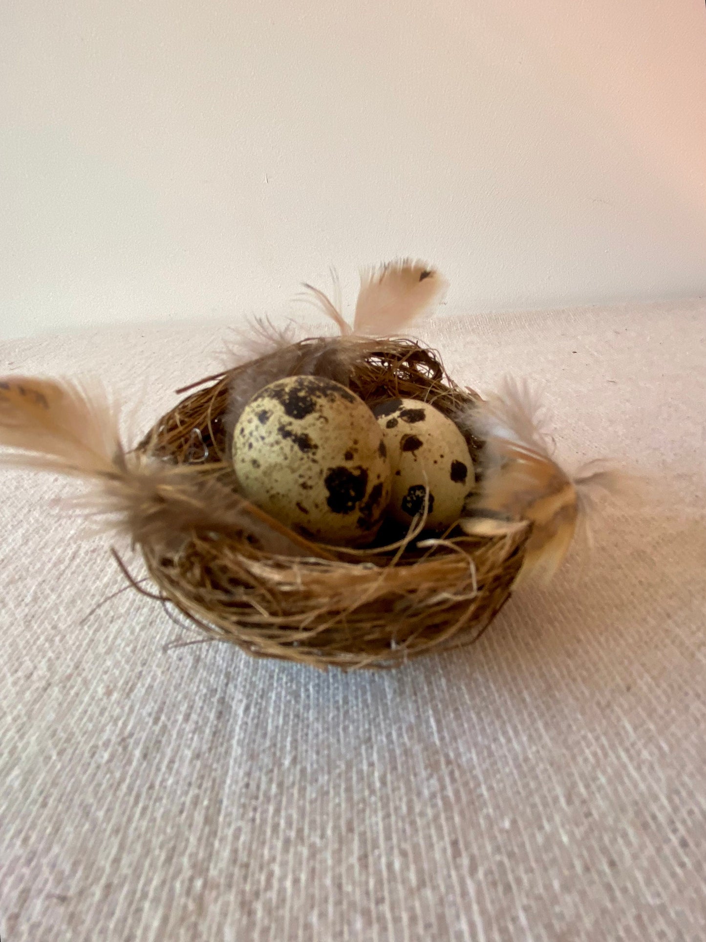 Nestchen mit Wachteleiern & Federn | Ostern | Frühling | Dekoration | Osterdeko | natürliche Deko | Skandinavisch | schlicht