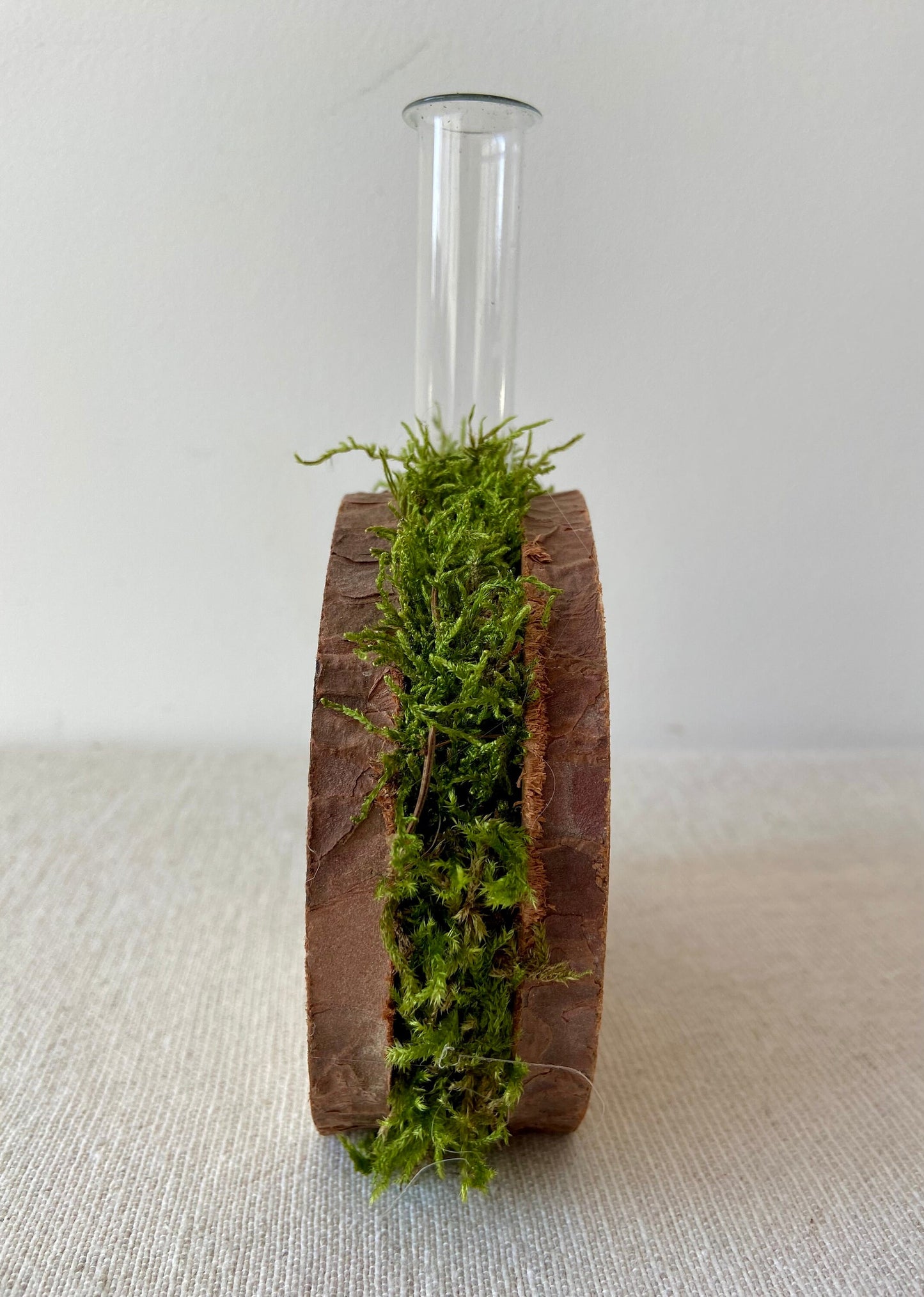 Blumenvase mit Holzscheiben | Vase | Holzscheibe | Frühling | Frühlingsdeko | Osterdeko | Ostern | Hase | Reagenzglas | Hochzeit | Tischdeko