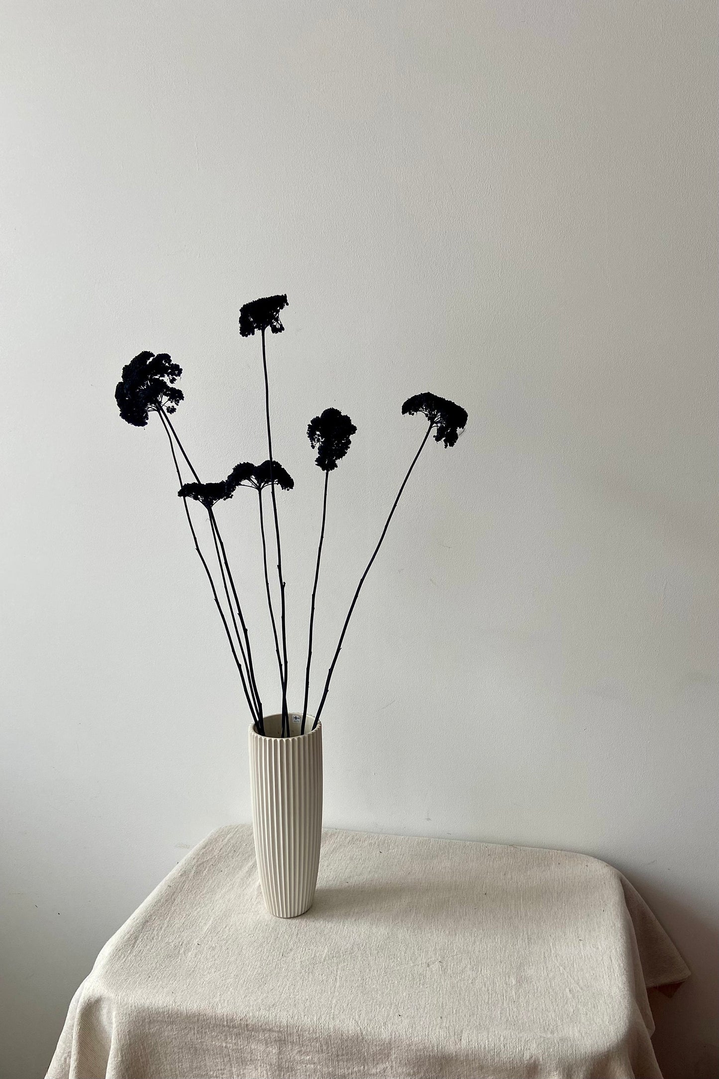 Achillea | schwarz | getröcknete Blüten | Achillea schwarz | Trockenblume | Frühling | Zweige für die Vase | Blütenzweig | Ostern | Home