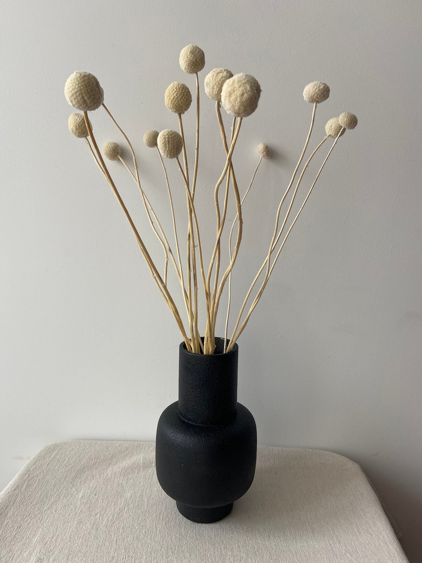 Trommelstöcke | Craspedia creme | Trockenblume | Frühling | Zweige für die Vase | Blütenzweig | Ostern | Billy Ball | Home Deko