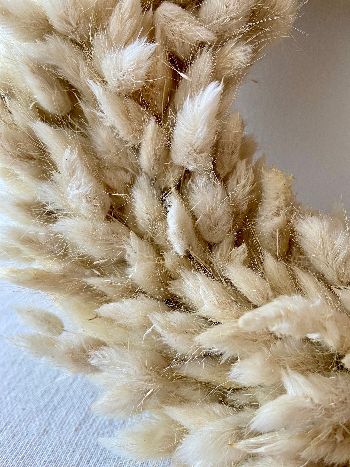 Kranz aus Samtgras | creme | Trockenblumen | HomeDeco | Blumenkranz | Laguruskranz | Deko | Boho-Style | Skandinavisch | Hasenschwänzchen