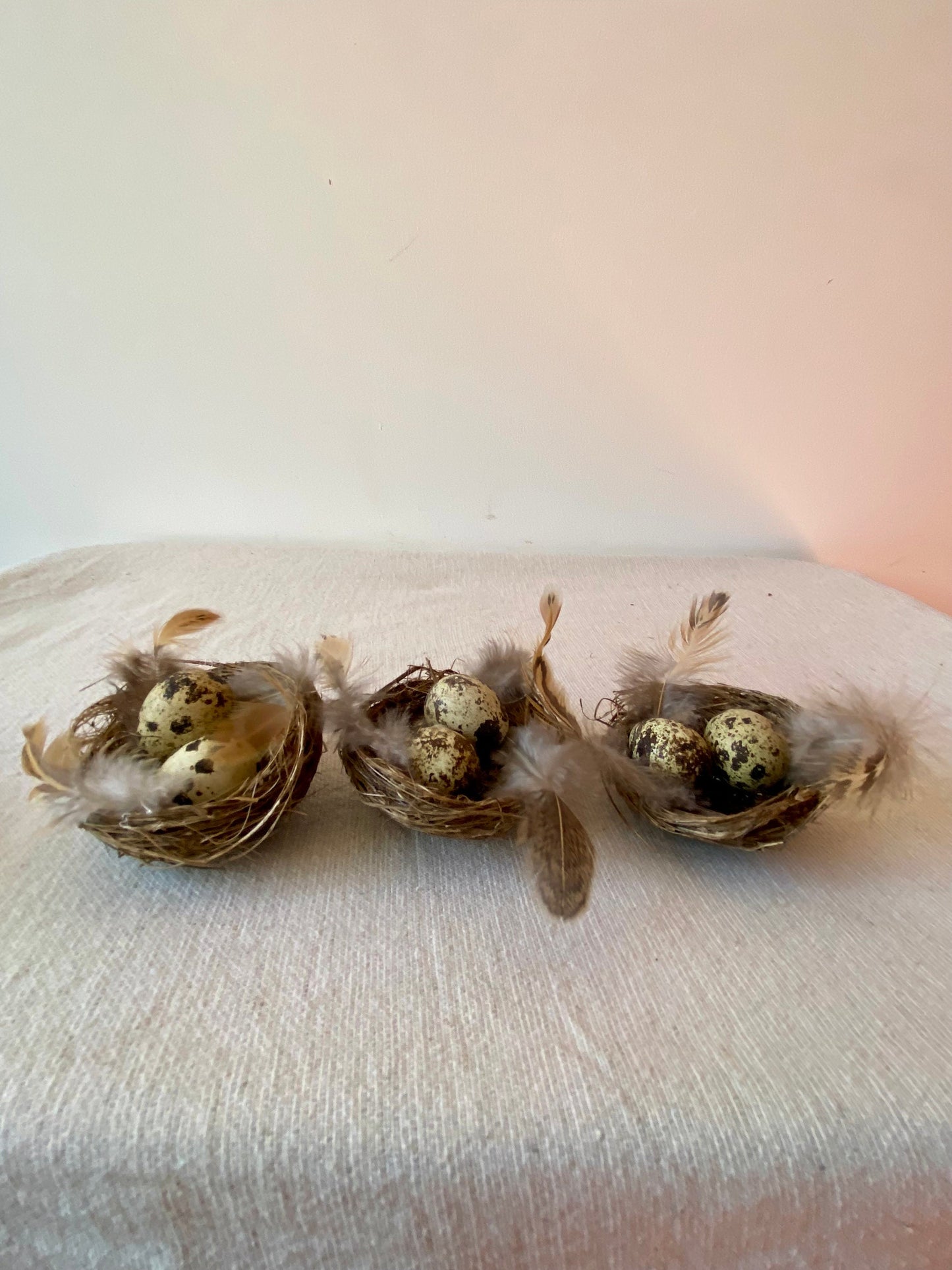 Nestchen mit Wachteleiern & Federn | Ostern | Frühling | Dekoration | Osterdeko | natürliche Deko | Skandinavisch | schlicht