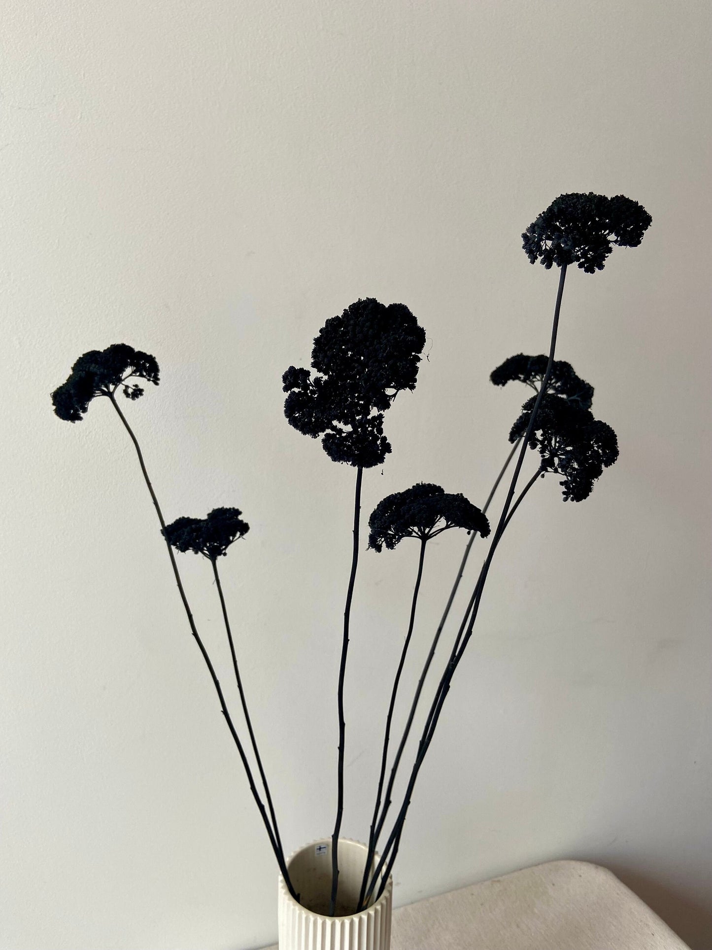 Achillea | schwarz | getröcknete Blüten | Achillea schwarz | Trockenblume | Frühling | Zweige für die Vase | Blütenzweig | Ostern | Home