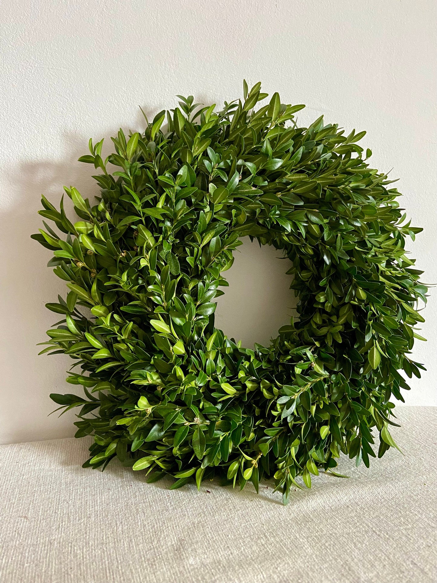 Buxkranz | Kranz | Buchs | Deko | Bastelvorlage | Kranzunterlage | Ostern | Frühling | Türkranz | Advent | Weihnachten | Rund | Grün