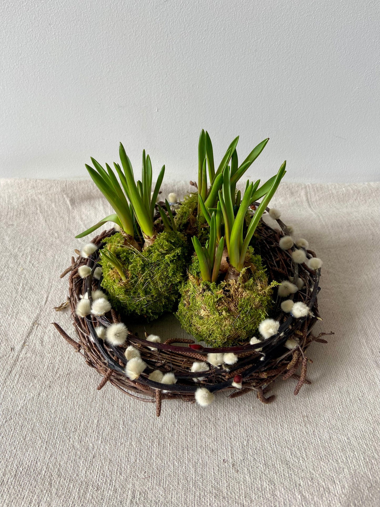 Traubenhyazinten in Moos | Rinde | Nest | Osterdeko | Tischdeko | Frühlingsdeko | Moos | Ostern | Tulpe | Frühlingsblüher | Birkenkranz