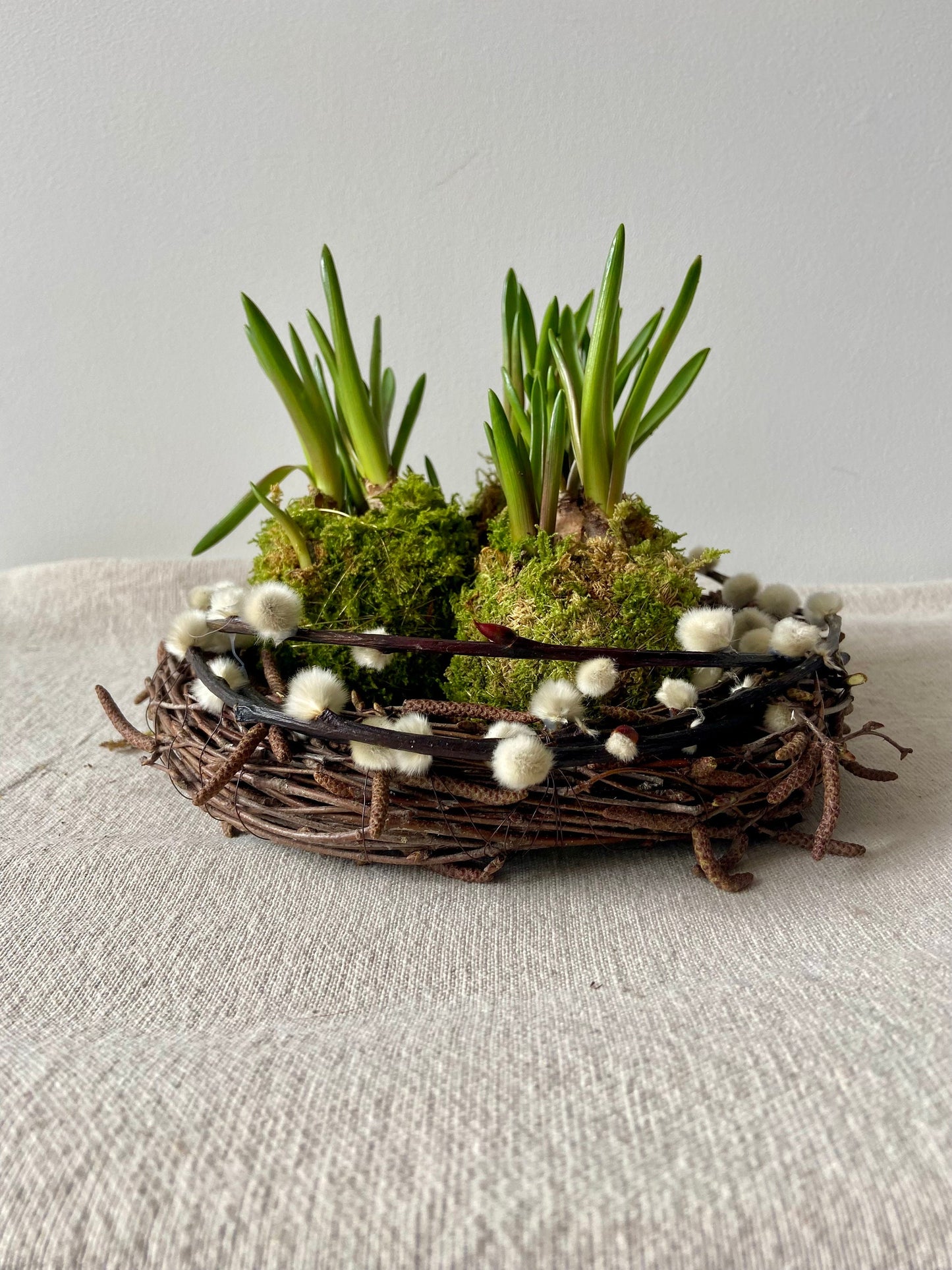 Traubenhyazinten in Moos | Rinde | Nest | Osterdeko | Tischdeko | Frühlingsdeko | Moos | Ostern | Tulpe | Frühlingsblüher | Birkenkranz