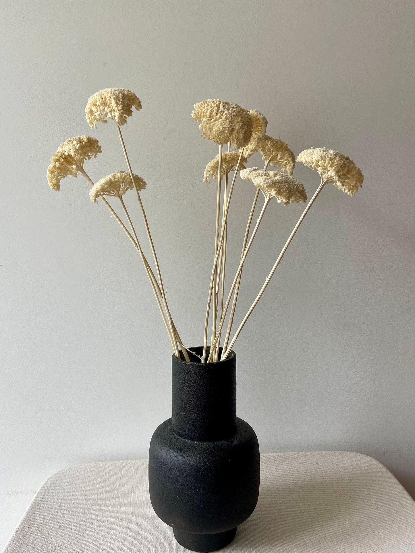 Achillea | weiß | getröcknete Blüten | Achillea weiß | Trockenblume | Frühling | Zweige für die Vase | Blütenzweig | Ostern | Home | Living