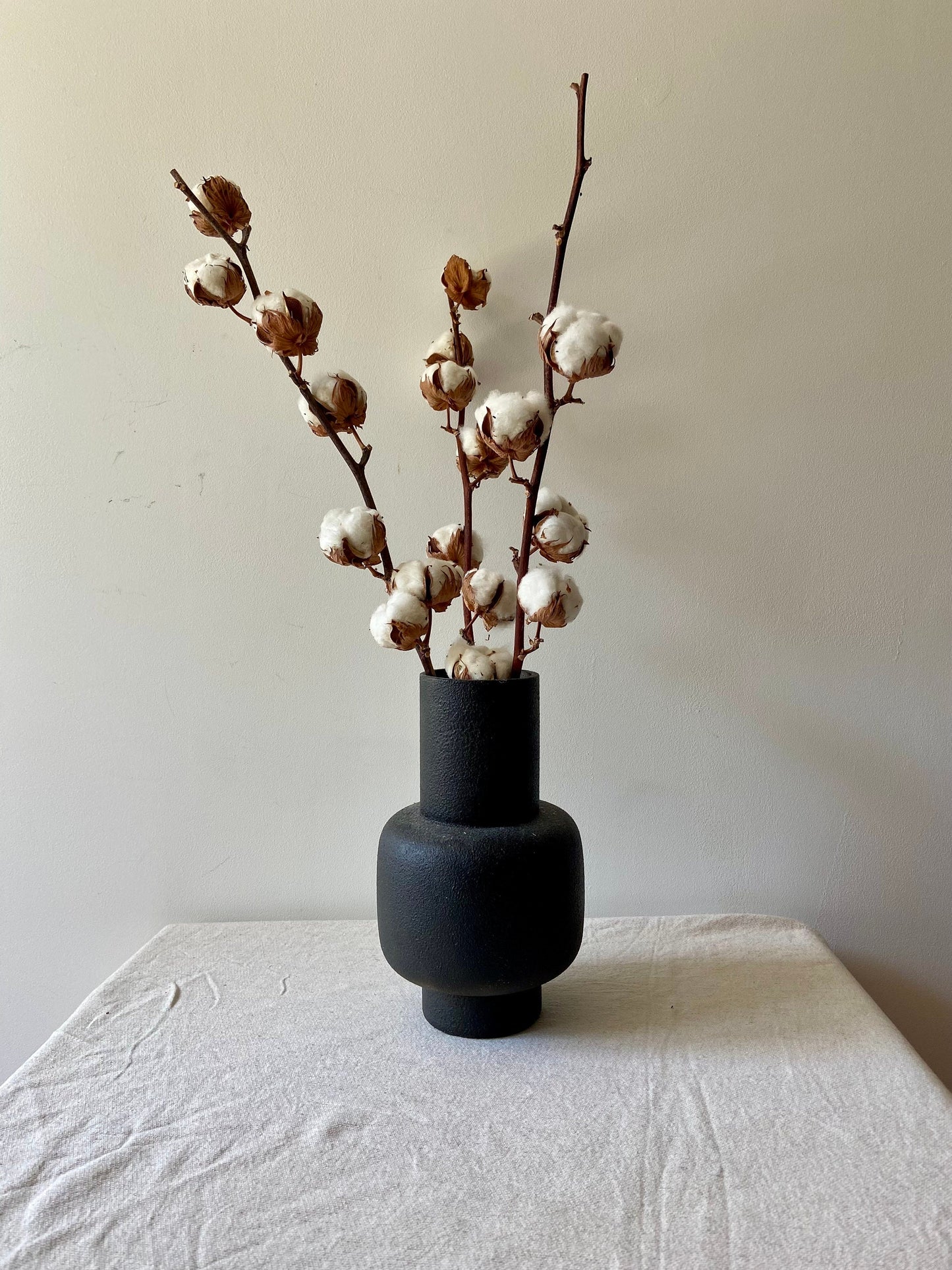 Baumwollzweig | Cotton | Homedeko | Natur Zweig