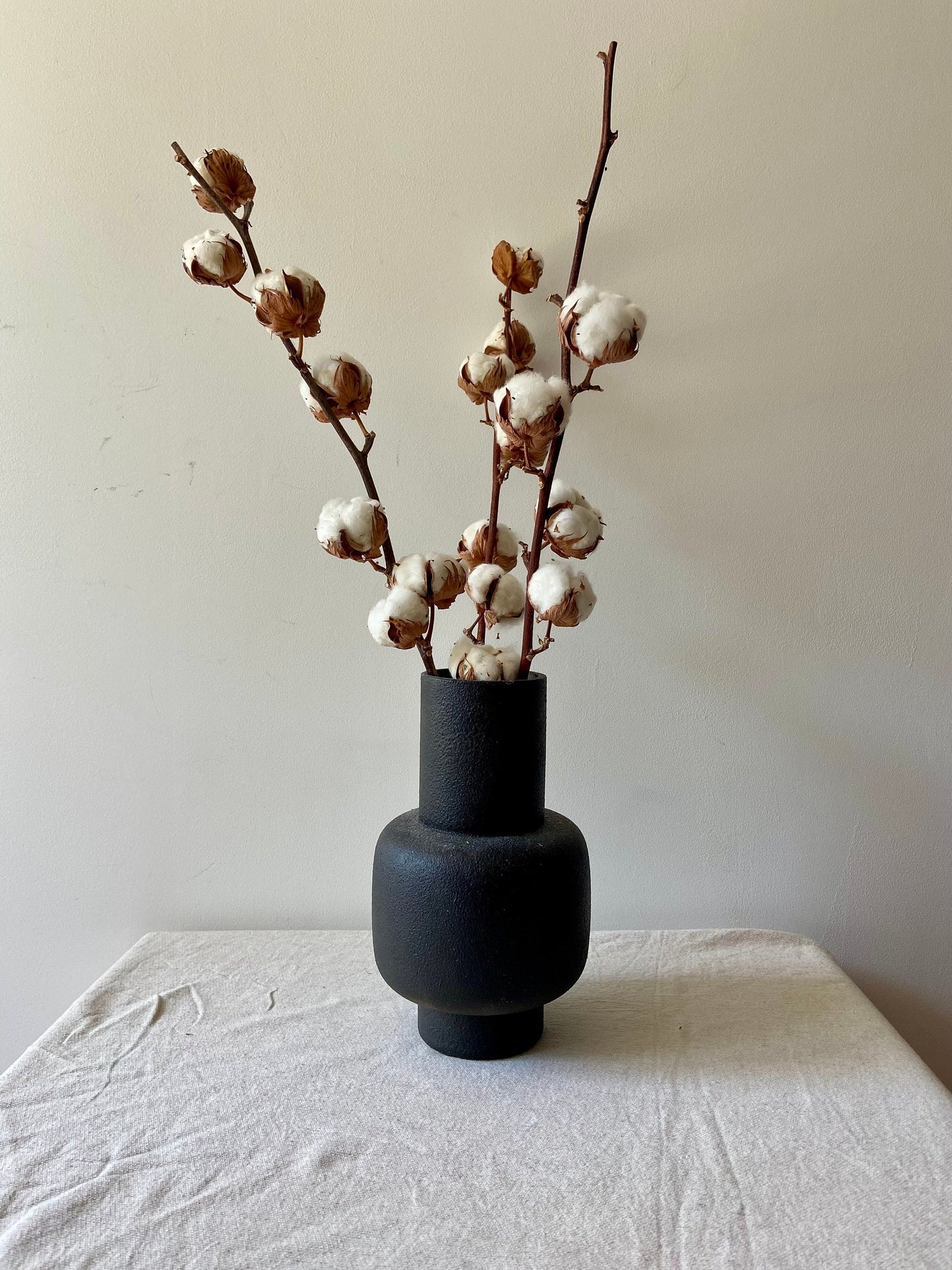 Baumwollzweig | Cotton | Homedeko | Natur Zweig