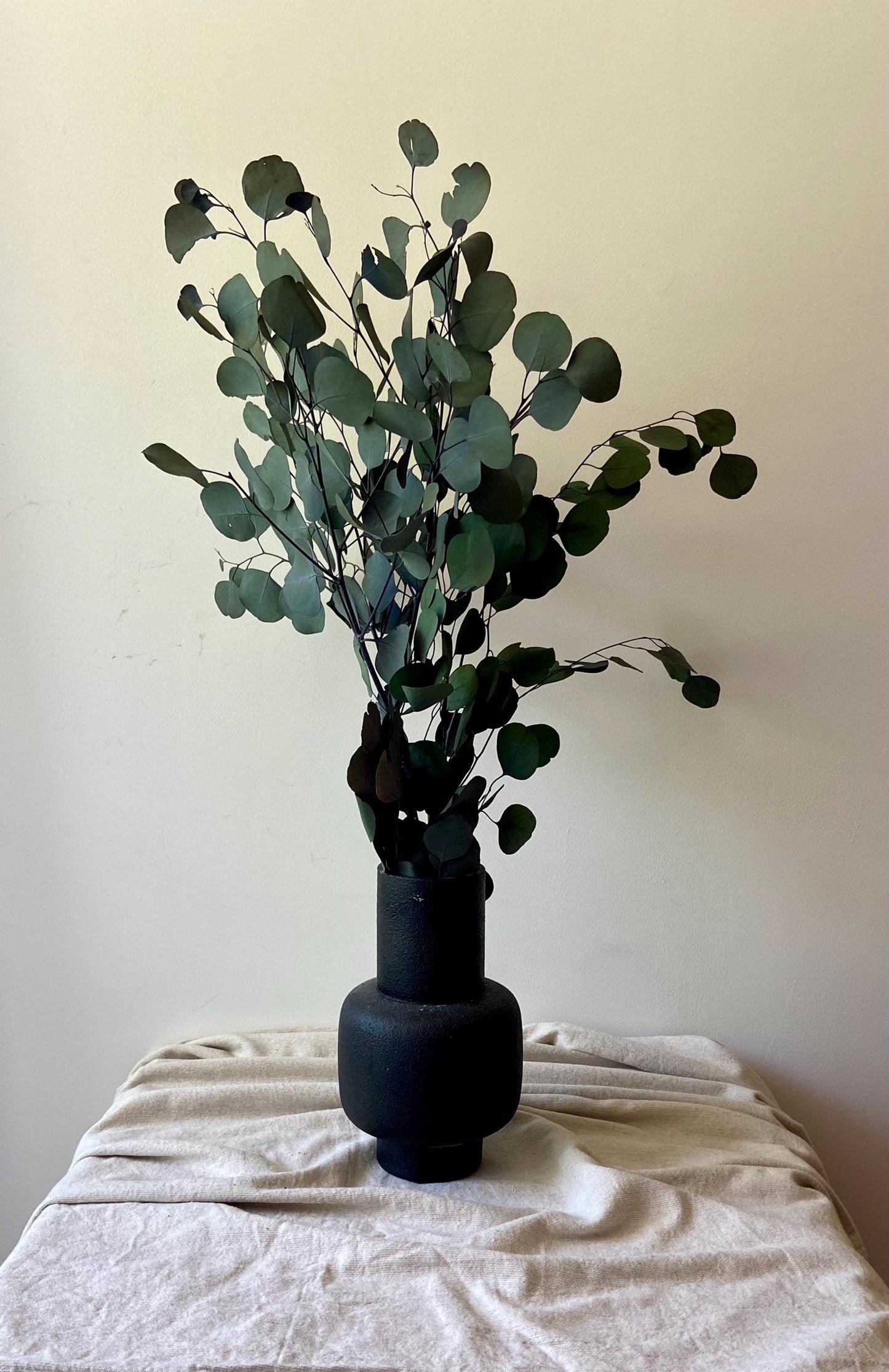 Eukalyptus | getrocknete Zweige | getrockneter Eukalyptus | Zweige für die Vase | Skandinavisch | Schlichte Deko