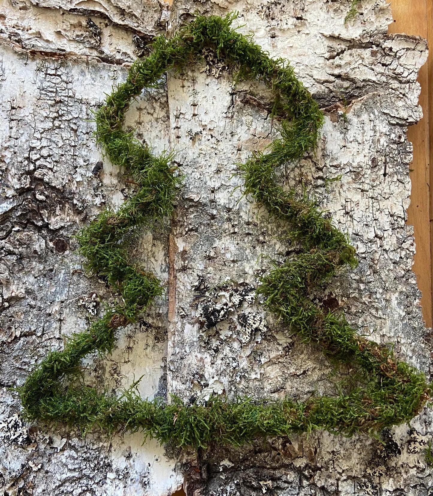 Tannenbaum aus Moos | Türschmuck | Fensterschmuck | Moosbaum | Advent | Weihnachten | Deko | Winter | Naturdeko | Mini-Tannenbaum