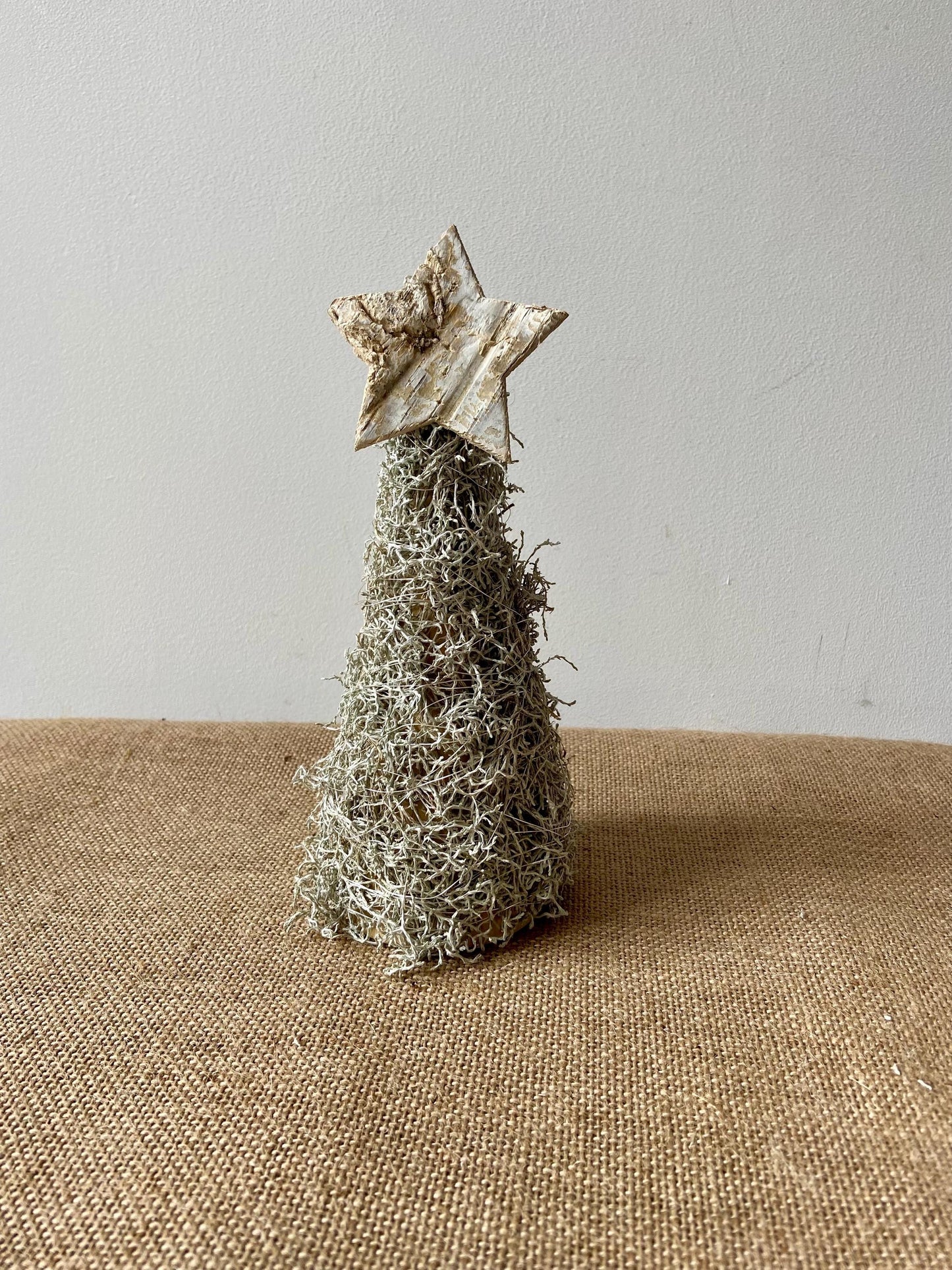Weihnachtsbaum Silberdraht mit Stern | Tannenbaum | Silberdraht Bäumchen | Advent | Weihnachten | Winter | Mini-Tannenbaum | Stern | Birke