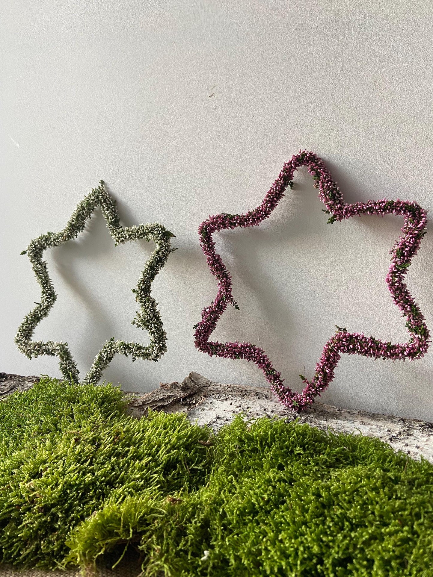 Stern aus Heide weiß | Türschmuck | Fensterschmuck | Heidestern | Advent | Weihnachten | Deko | Naturdeko | Stern | Erika | weiß