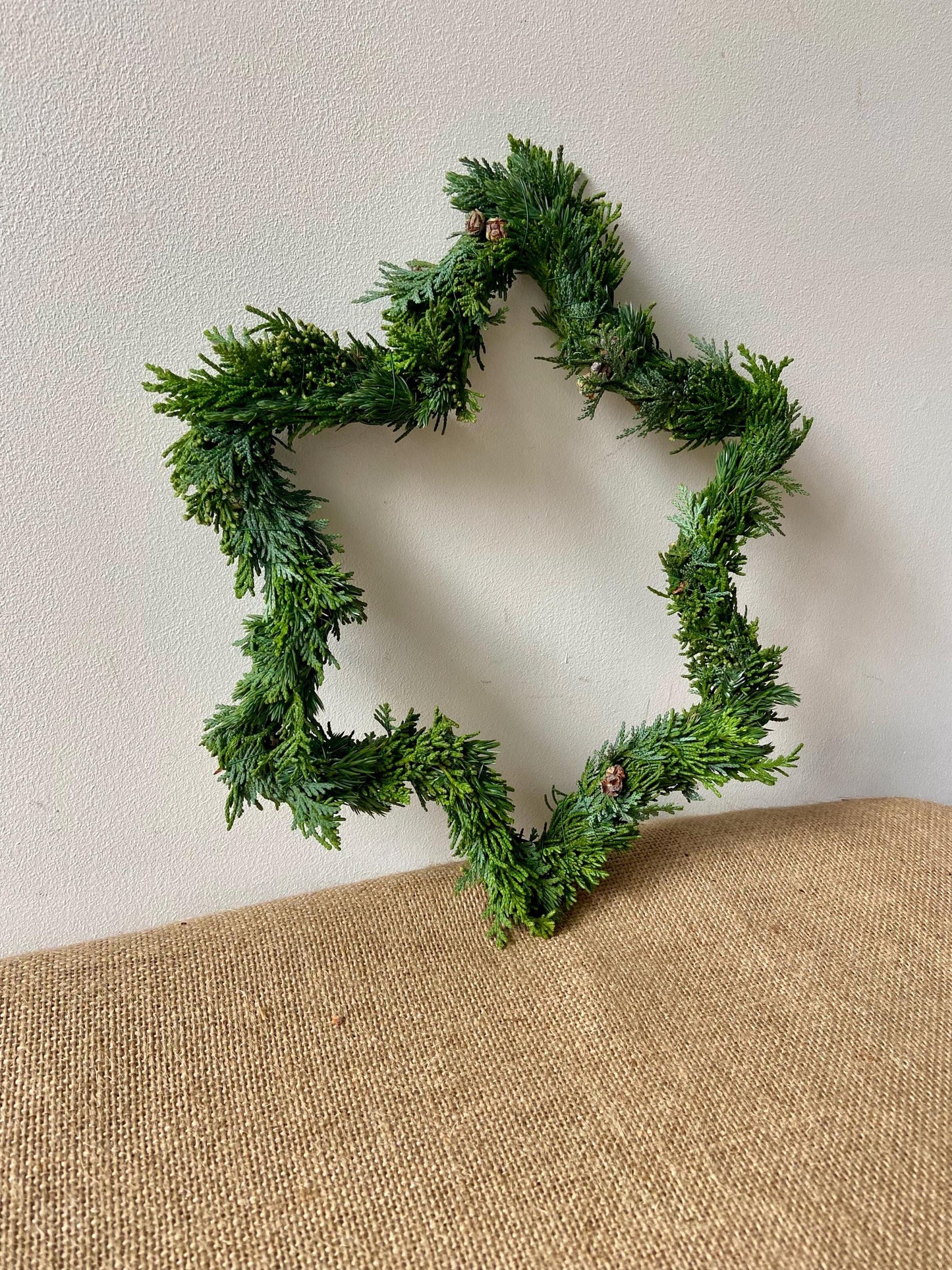 Stern aus frischem Grün | Türschmuck | Fensterschmuck | Koniferen | Advent | Weihnachten | Deko | Naturdeko | Stern | frisches Grün | Grün