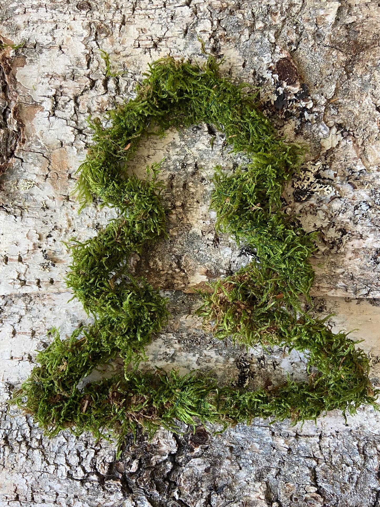Tannenbaum aus Moos | Türschmuck | Fensterschmuck | Moosbaum | Advent | Weihnachten | Deko | Winter | Naturdeko | Mini-Tannenbaum