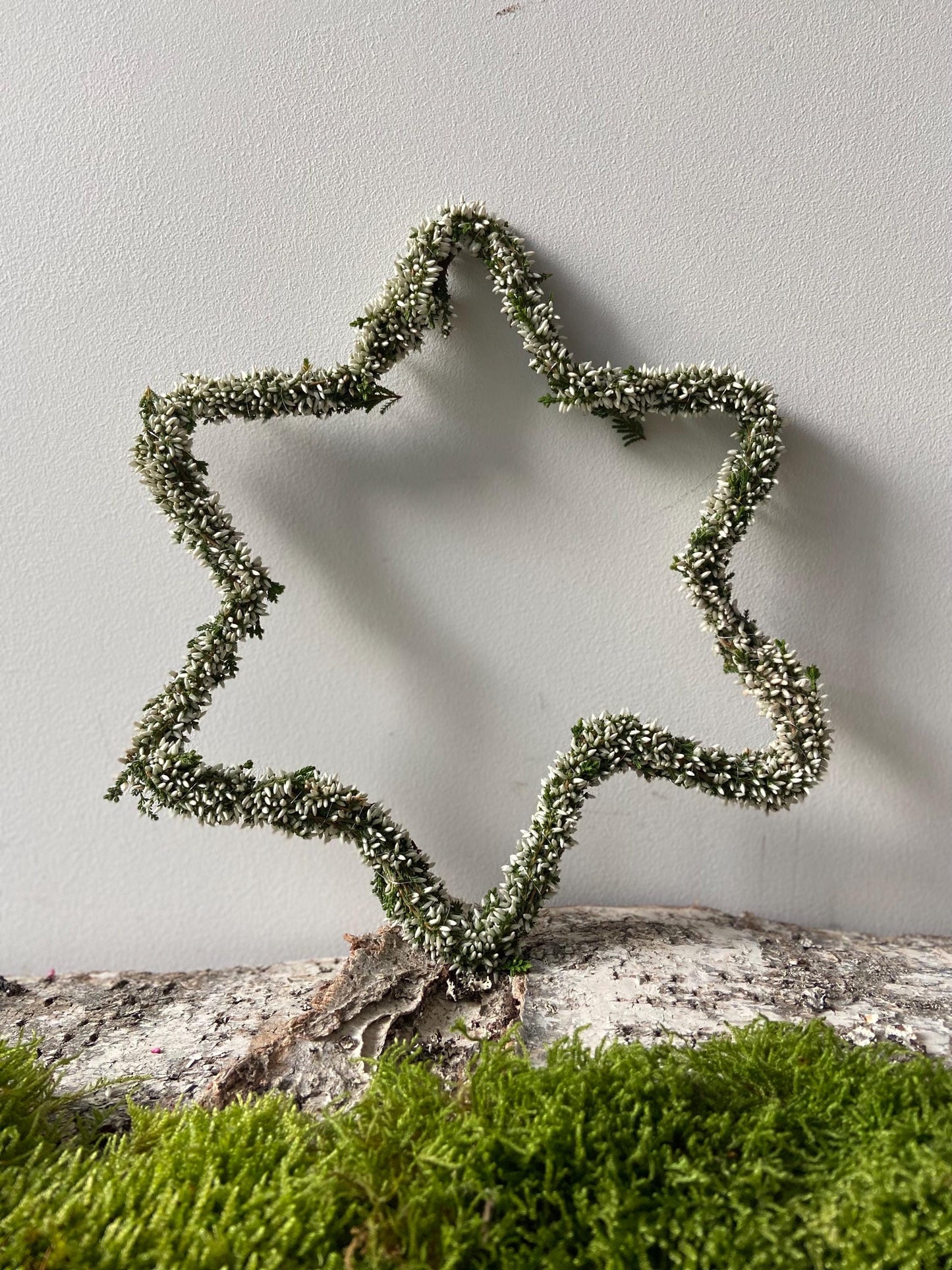 Stern aus Heide weiß | Türschmuck | Fensterschmuck | Heidestern | Advent | Weihnachten | Deko | Naturdeko | Stern | Erika | weiß