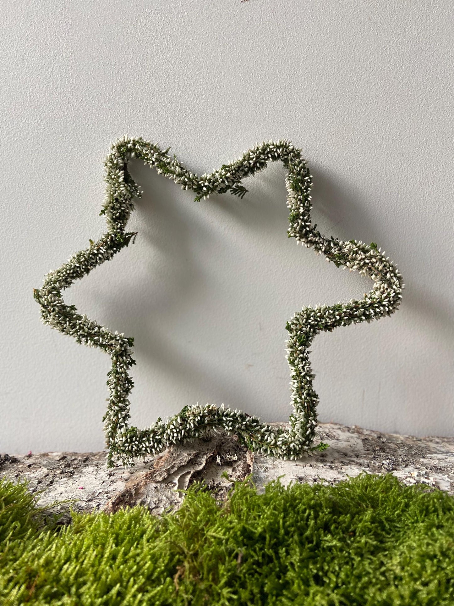 Stern aus Heide weiß | Türschmuck | Fensterschmuck | Heidestern | Advent | Weihnachten | Deko | Naturdeko | Stern | Erika | weiß
