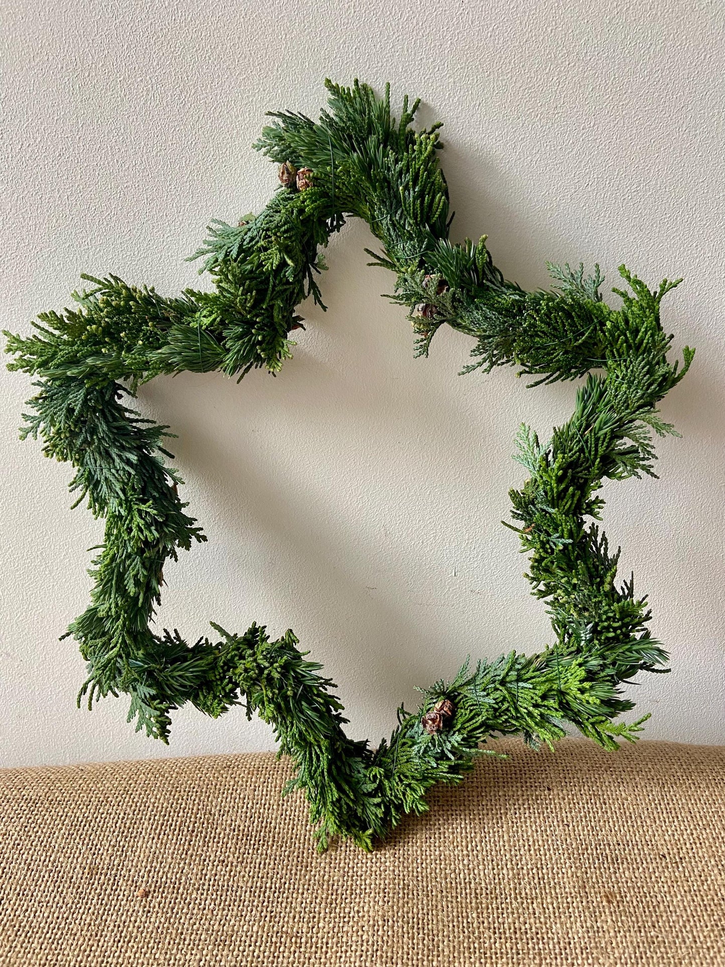Stern aus frischem Grün | Türschmuck | Fensterschmuck | Koniferen | Advent | Weihnachten | Deko | Naturdeko | Stern | frisches Grün | Grün