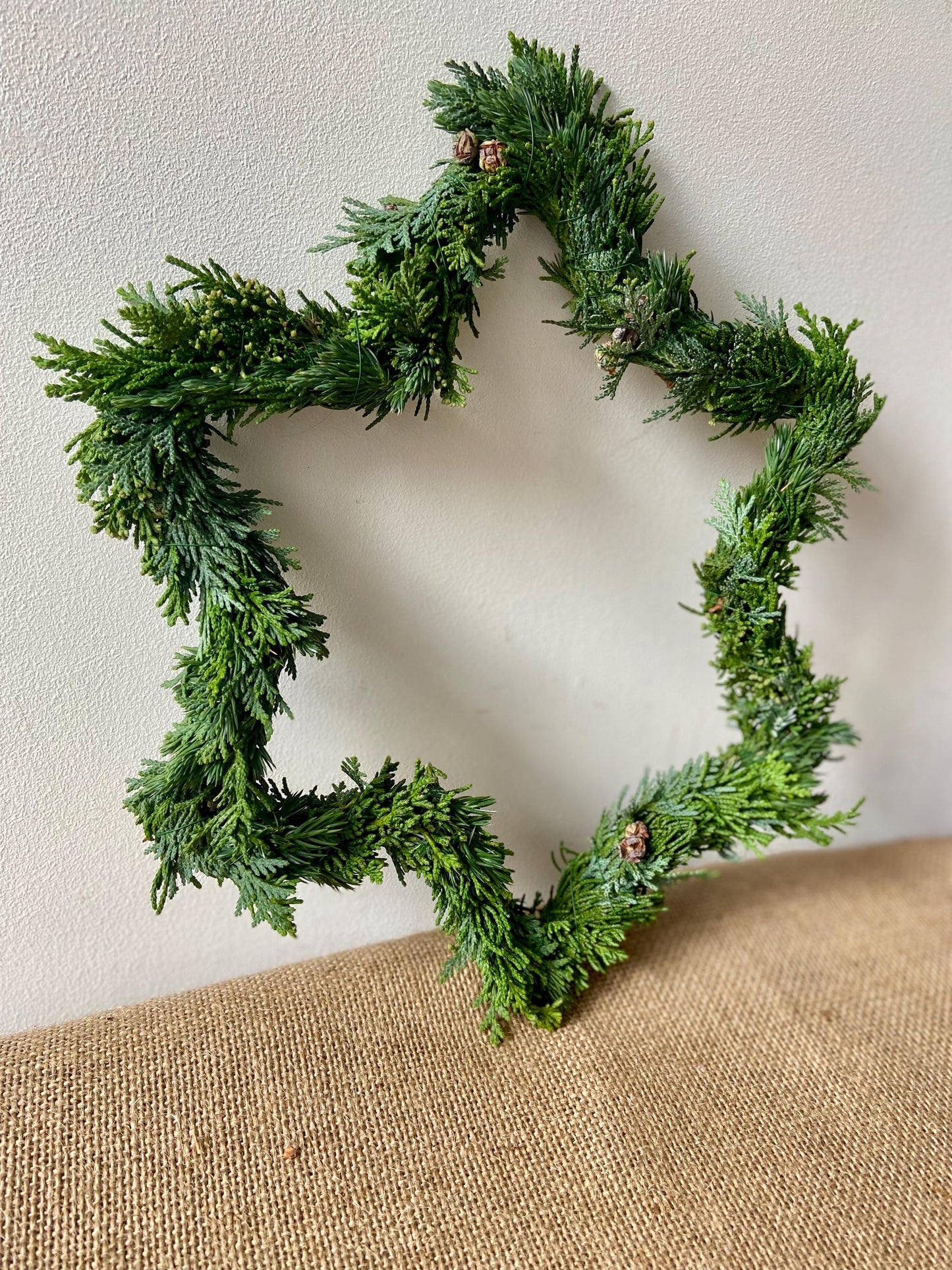 Stern aus frischem Grün | Türschmuck | Fensterschmuck | Koniferen | Advent | Weihnachten | Deko | Naturdeko | Stern | frisches Grün | Grün