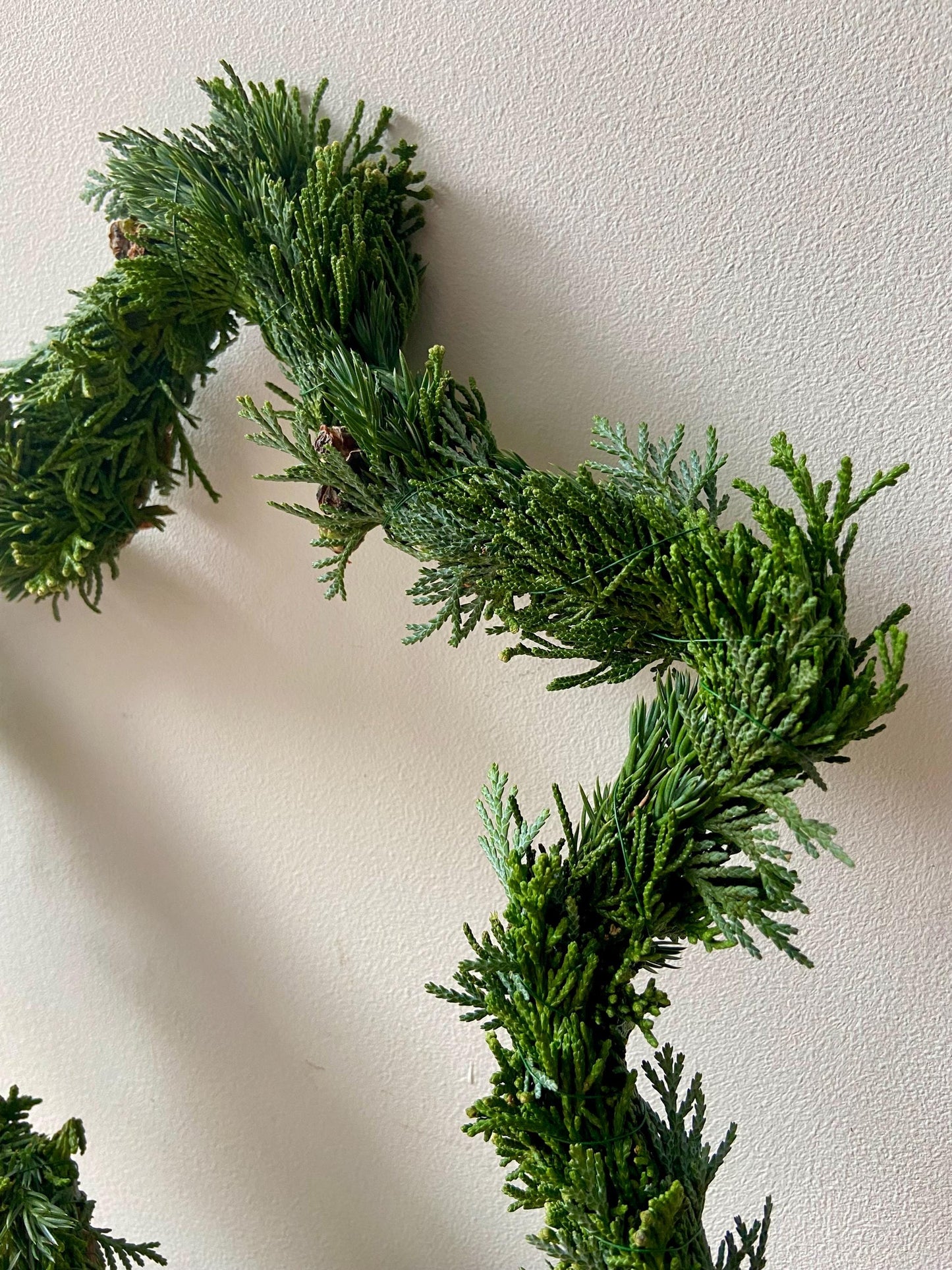 Stern aus frischem Grün | Türschmuck | Fensterschmuck | Koniferen | Advent | Weihnachten | Deko | Naturdeko | Stern | frisches Grün | Grün