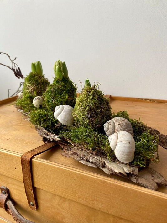 Osterdekoration DIY-Set | Tischdekoration | Frühlingsdeko | Moos | Osternest | Rinde | DIY-Set | Hyazinthe | Schneckenhaus | Wachteleier