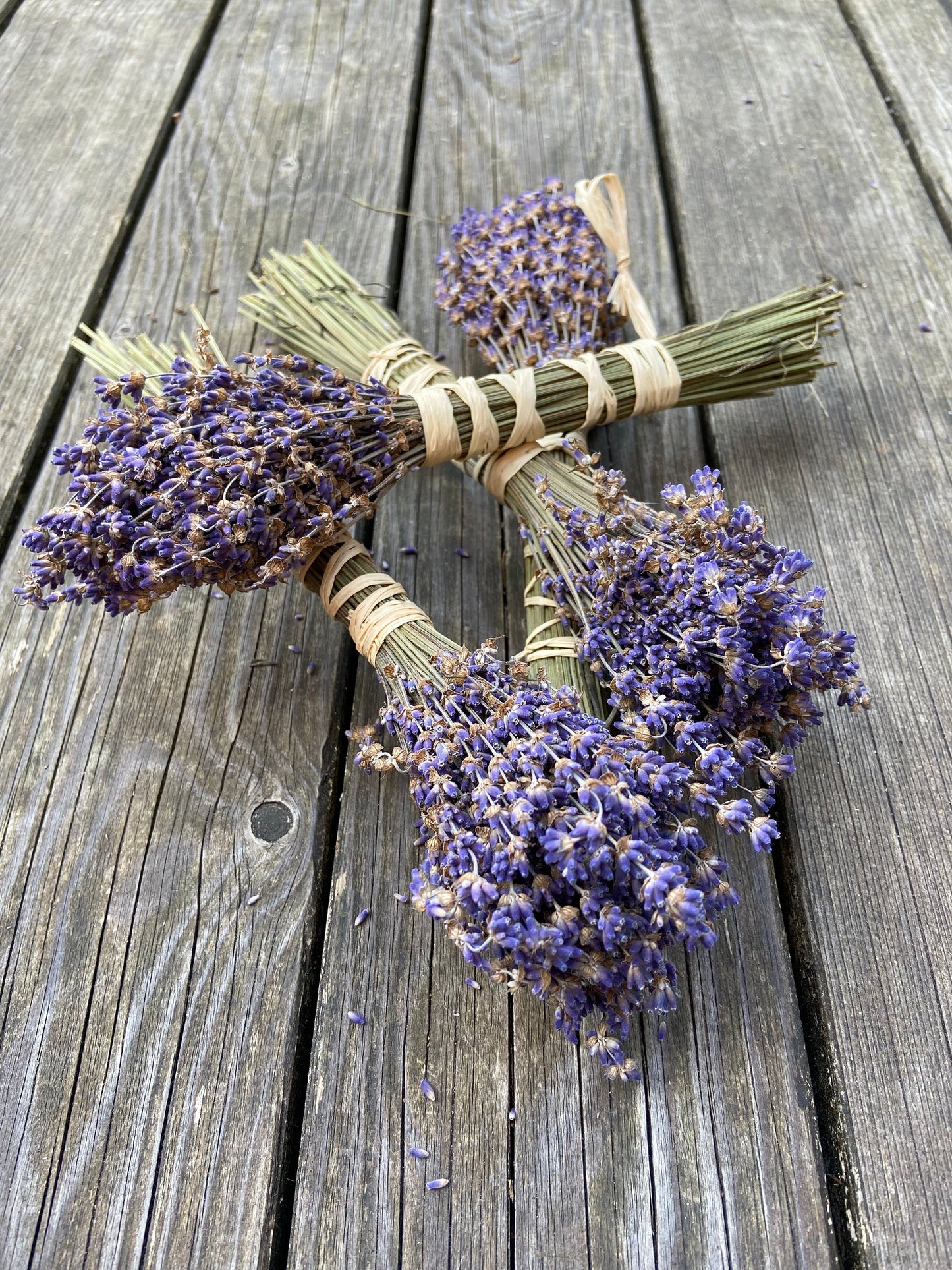 Lavendelsträußchen mit Zierdeband getrocknet