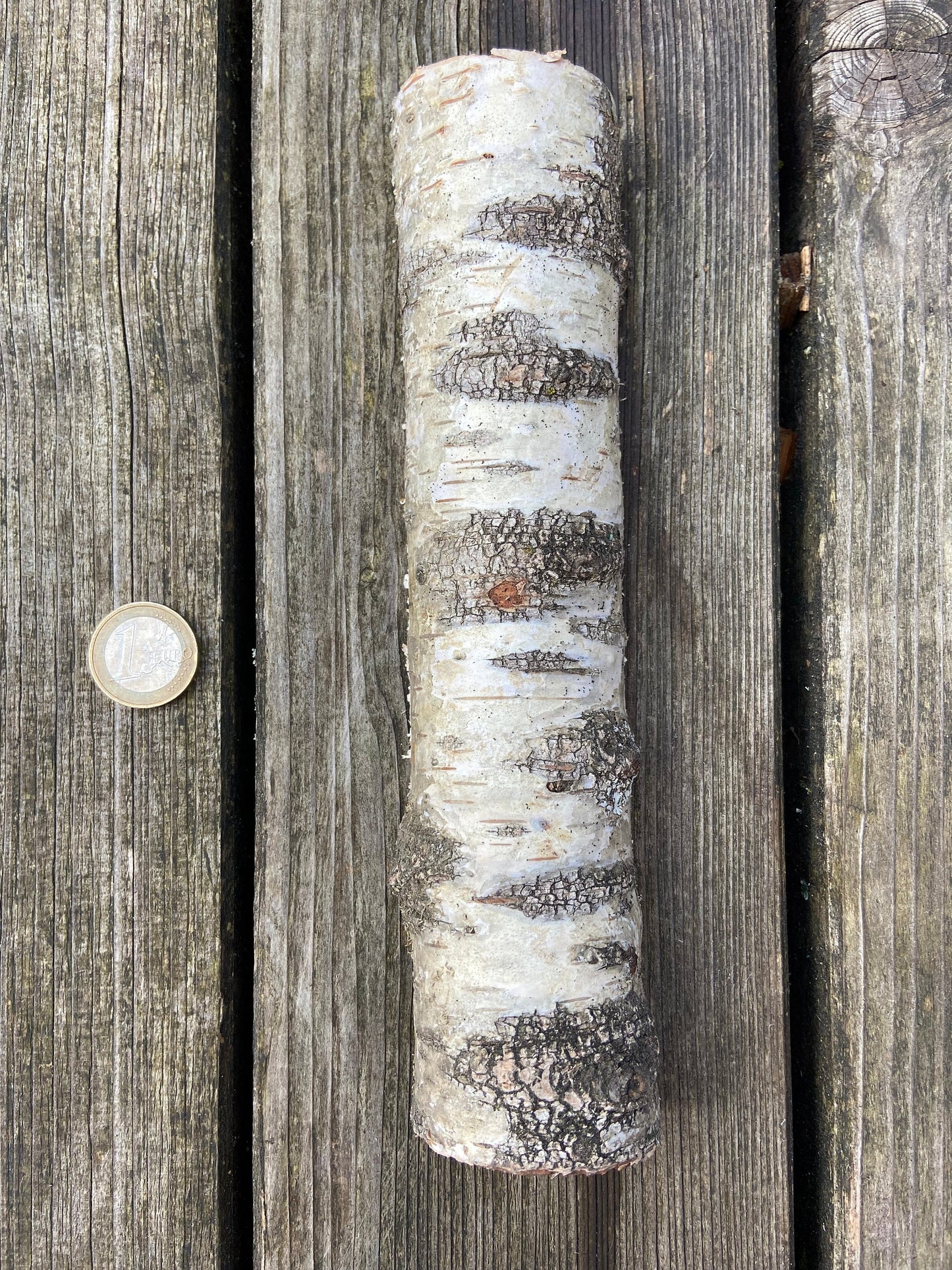 Birkenstamm | halbiert | ca. 20cm