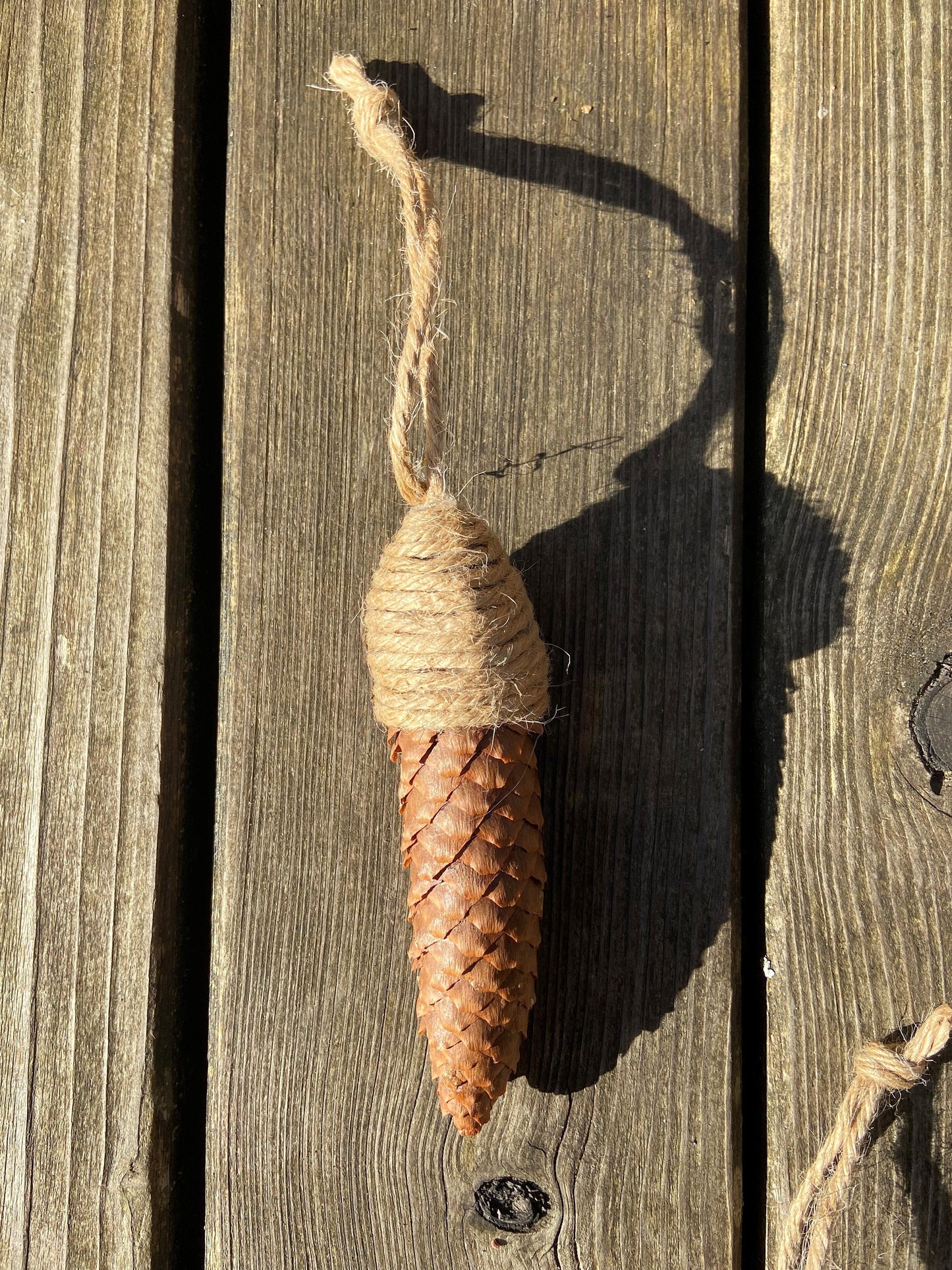 Zapfen der Fichte | zum aufhängen | groß | 10-14 cm