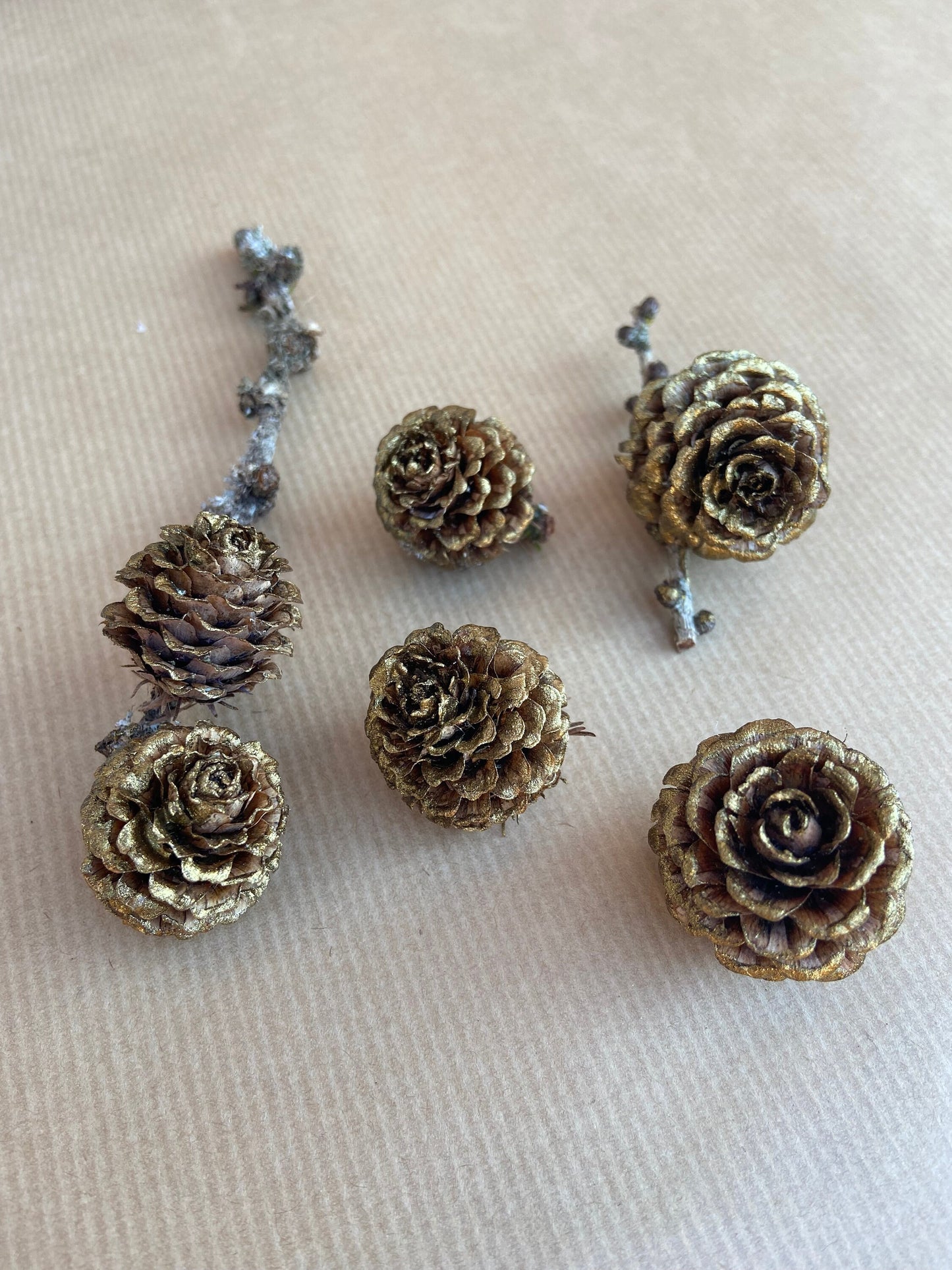 Zapfen der Lärche | gold | groß | 3-4cm | 5er Set