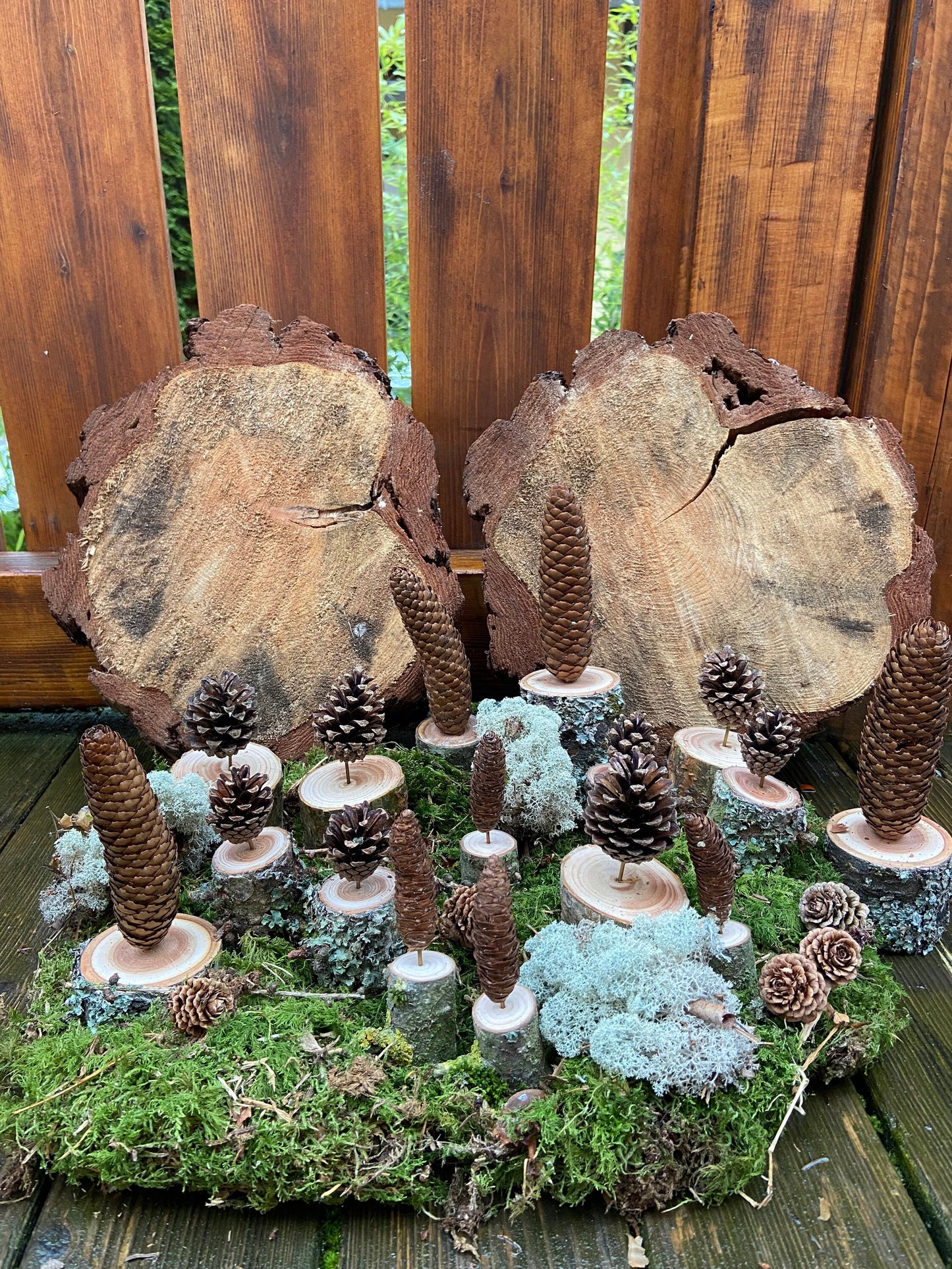 Zapfenbäumchen | mit Zapfen der Kiefer | 4er Set | Höhe ca. 10 cm