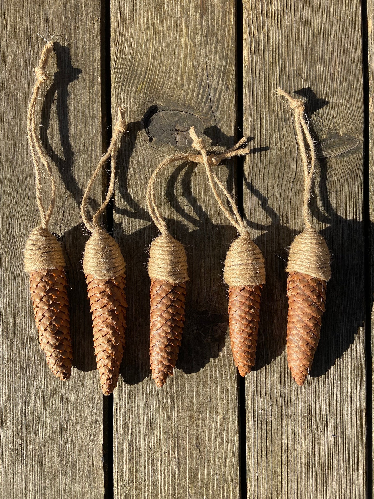 Zapfen der Fichte | zum aufhängen | groß | 10-14 cm