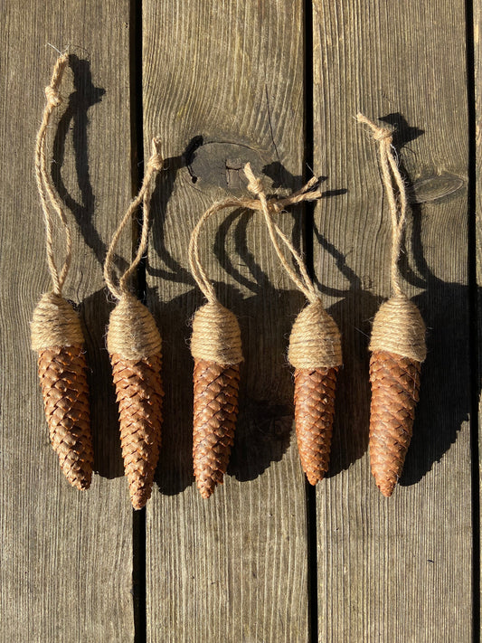 Zapfen der Fichte | zum aufhängen | groß | 10-14 cm