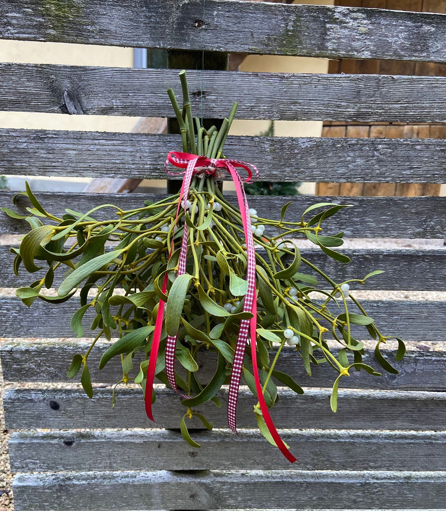 Mistel | Sträußchen | Schleifenband | Weihnachten | Deko | Winter | Advent | Weihnachtsschmuck