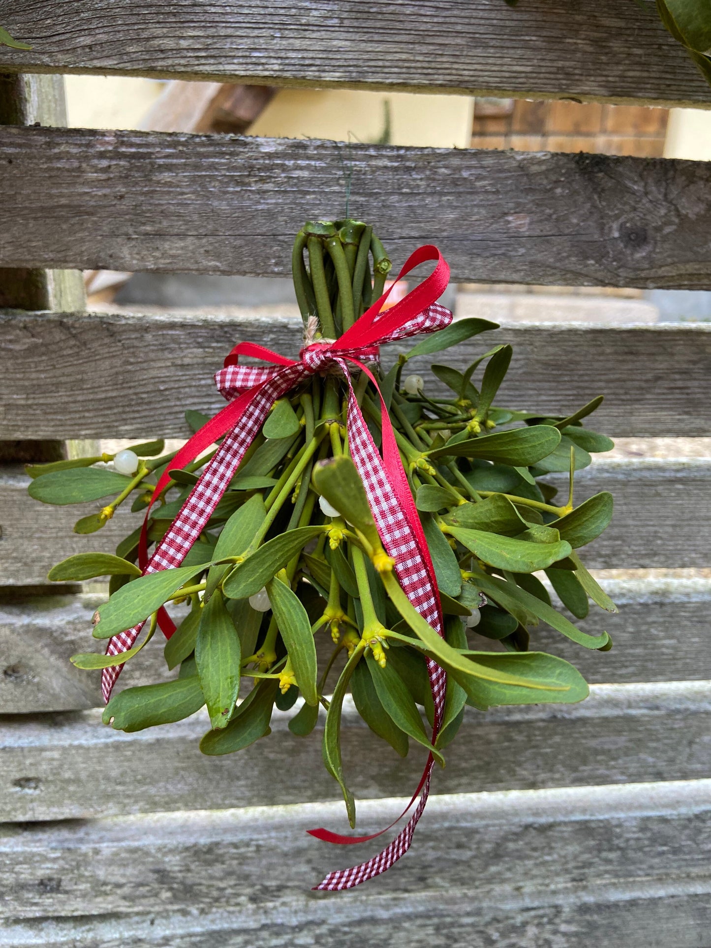 Mistel | Sträußchen | Schleifenband | Weihnachten | Deko | Winter | Advent | Weihnachtsschmuck