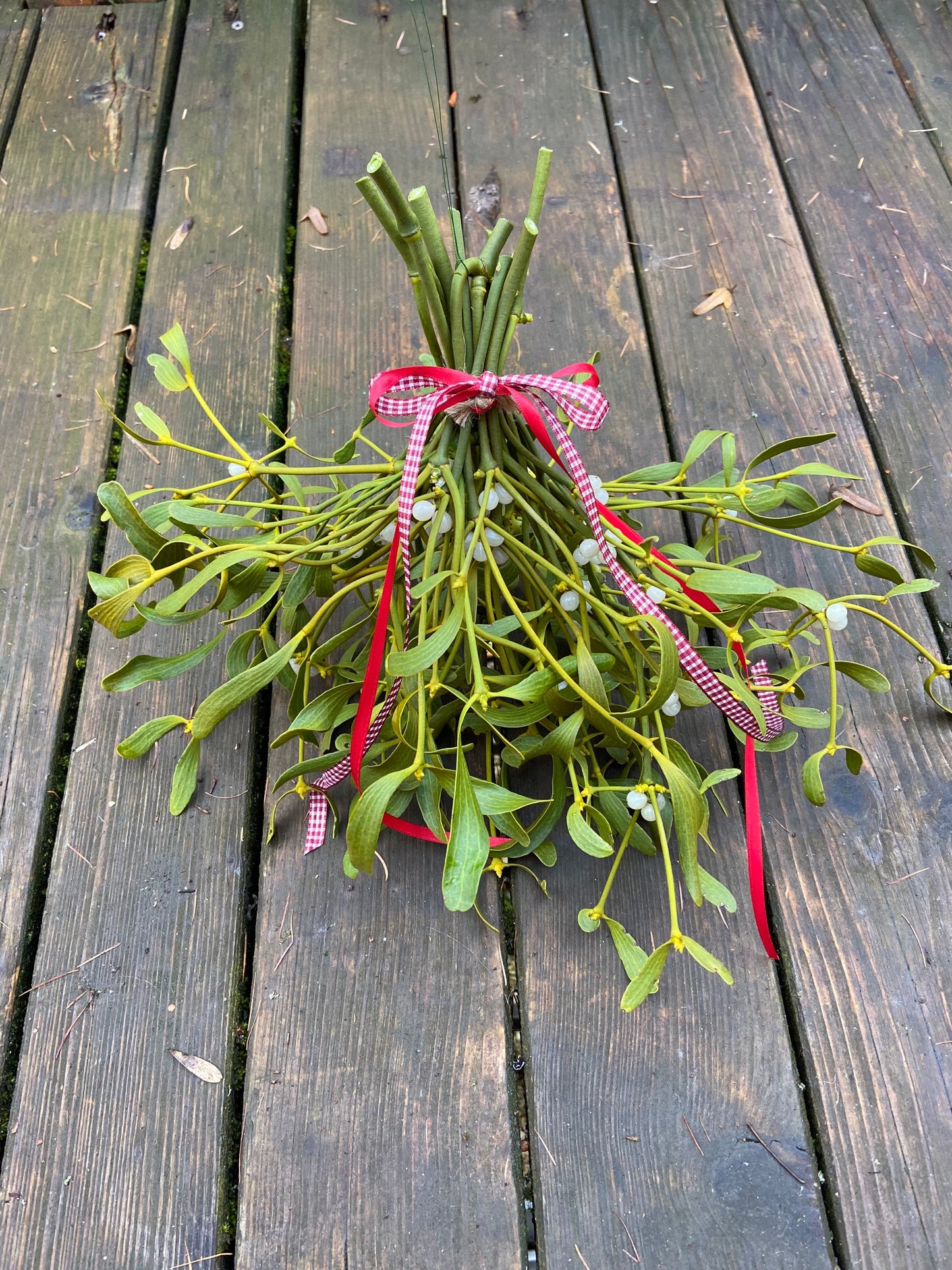 Mistel | Sträußchen | Schleifenband | Weihnachten | Deko | Winter | Advent | Weihnachtsschmuck