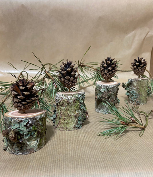 Zapfenbäumchen | mit Zapfen der Kiefer| 4er Set | Höhe ca. 8 cm