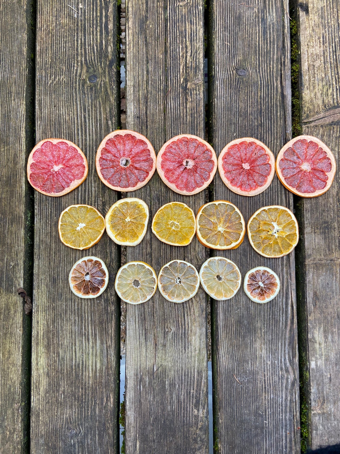 Citrus Mix | getrocknet | Fruchtscheiben