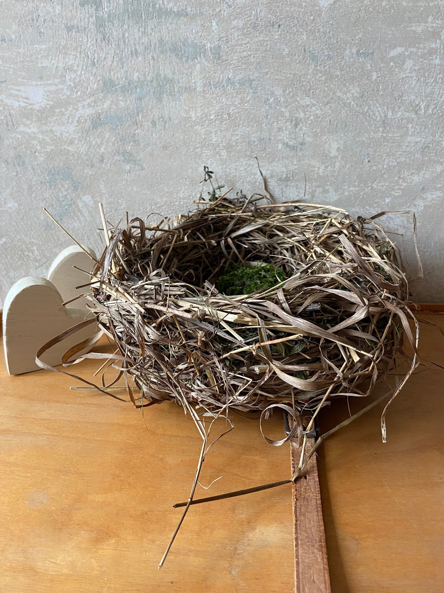 Nest | Frühling | Ostern | groß