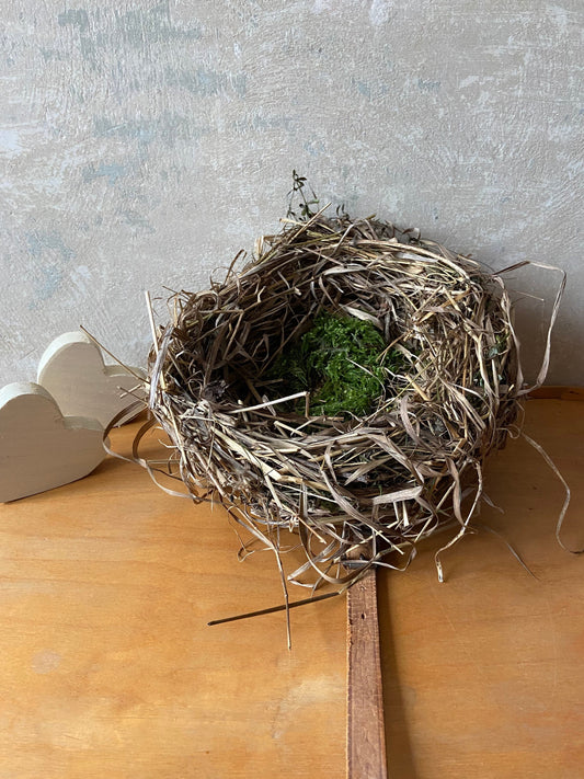 Nest | Frühling | Ostern | groß