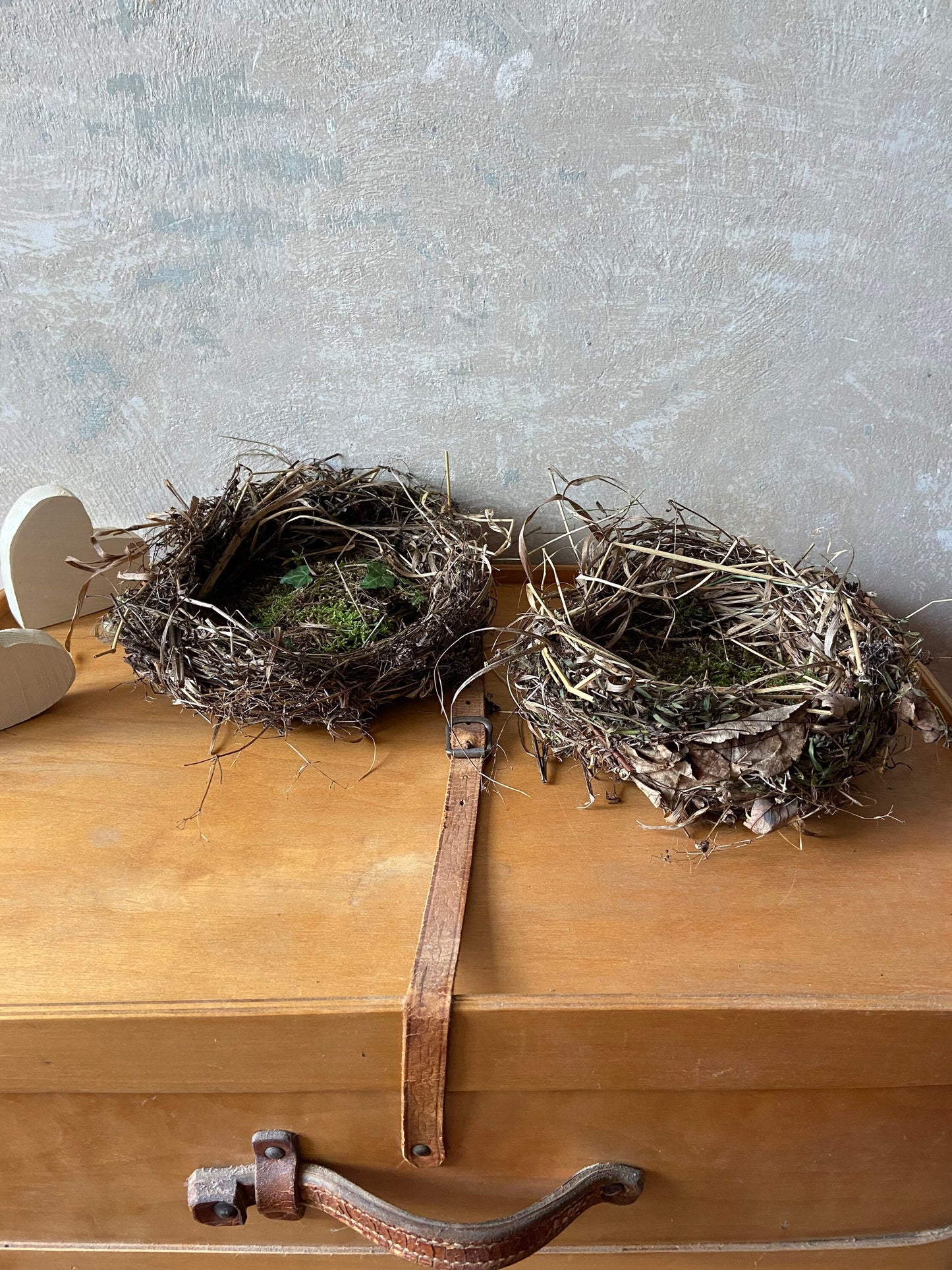 Nest | Frühling | Ostern | flach