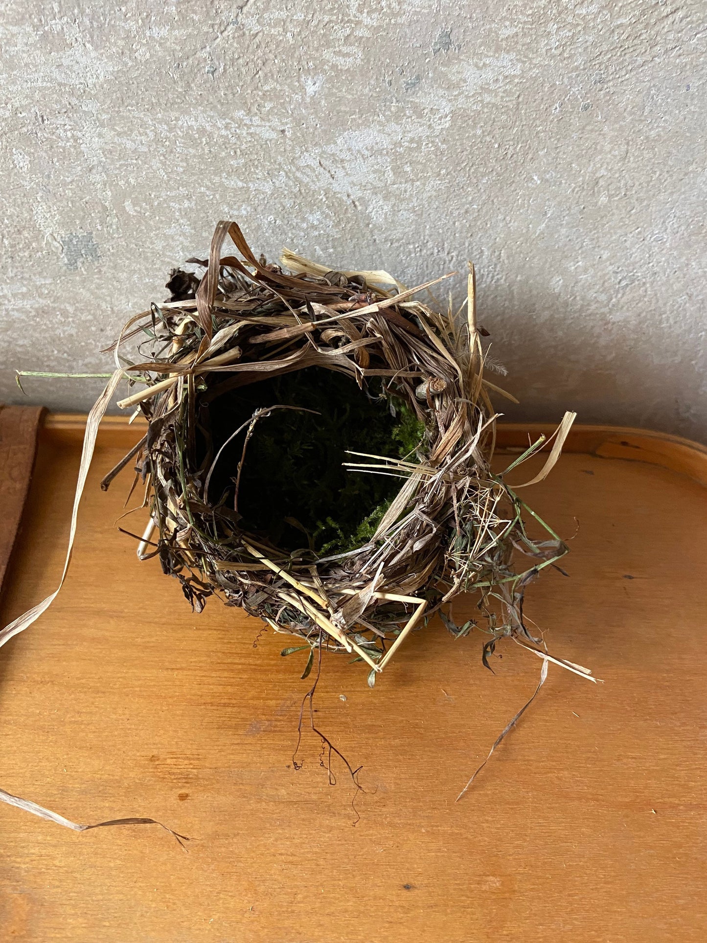 Nest | Frühling | Ostern | klein