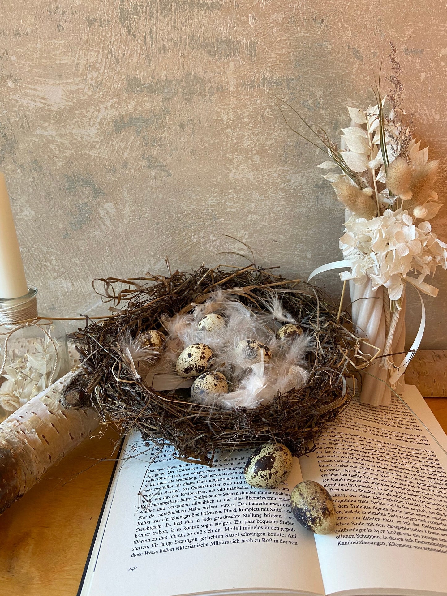 Nest | Frühling | Ostern | Eier | Federn
