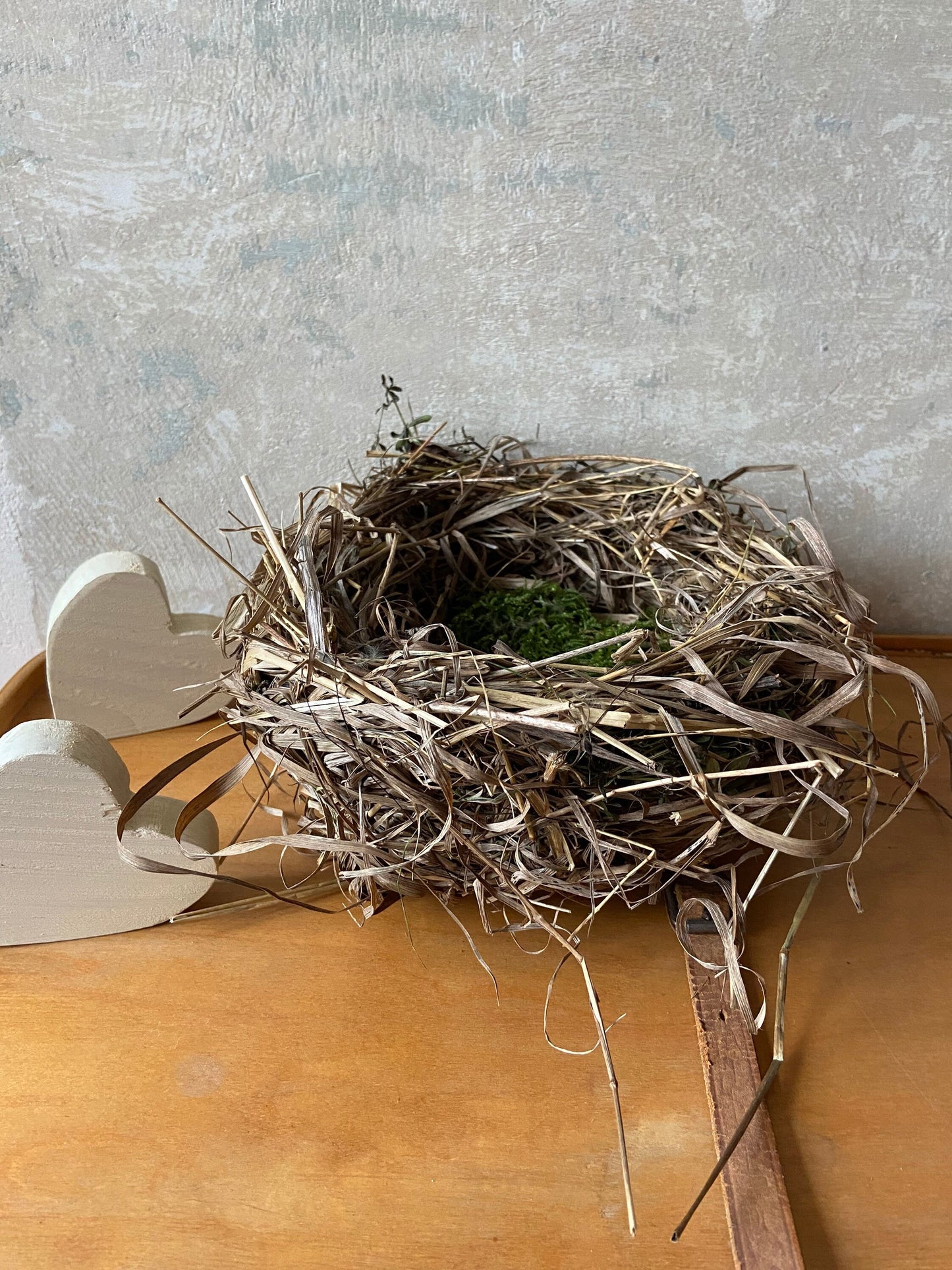 Nest | Frühling | Ostern | groß