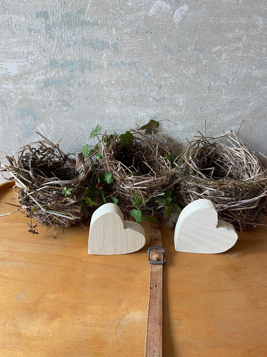 Nest | Frühling | Ostern