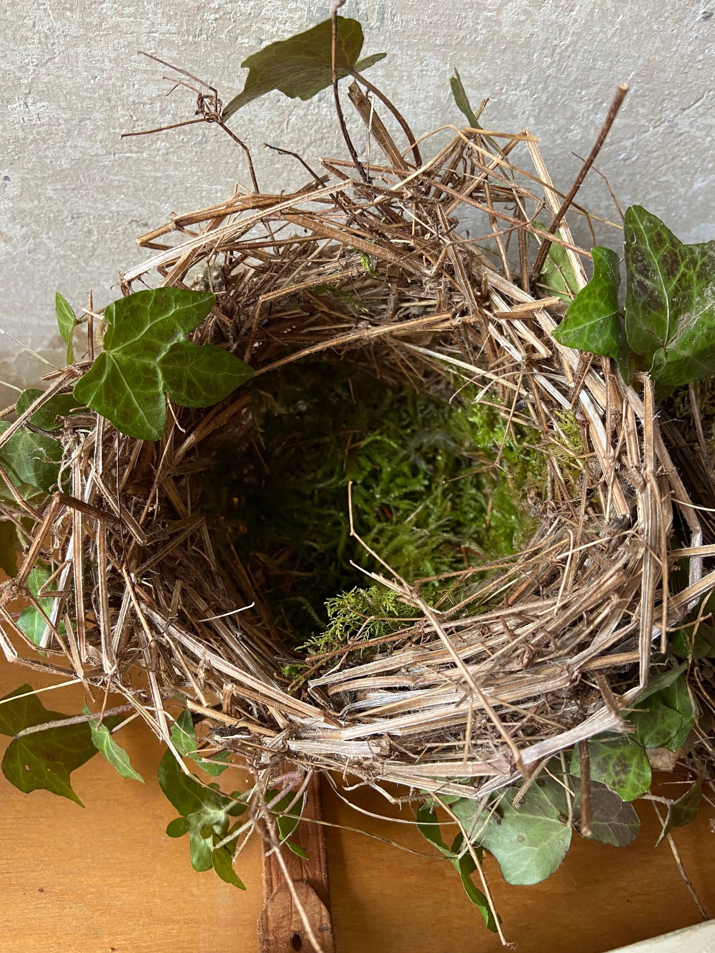 Nest | Frühling | Ostern