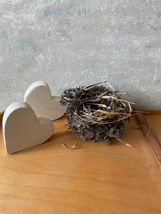 Nest | Frühling | Ostern | klein