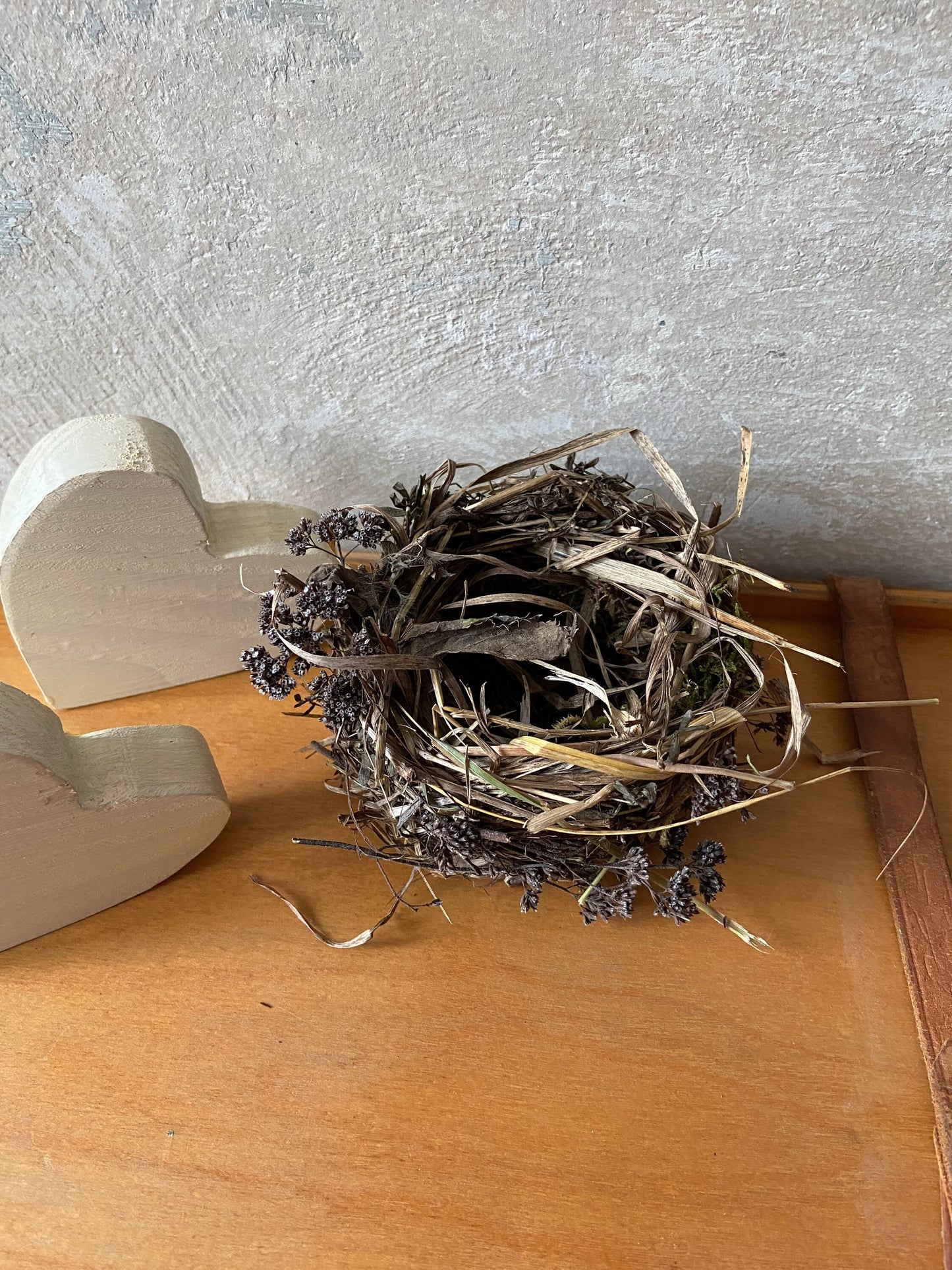 Nest | Frühling | Ostern | klein