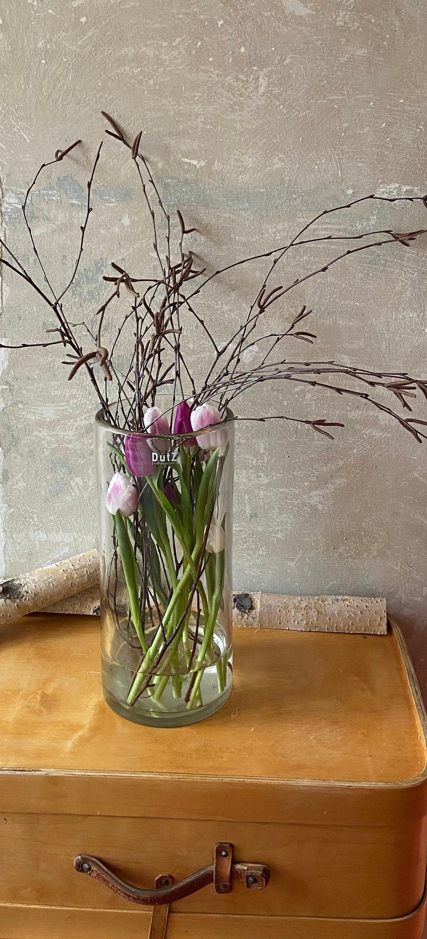 Birkenzweige | Zweige für die Vase | Birke | Frühling | Birke | Vasenzweige
